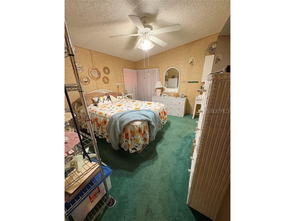 34089 Alamanda Drive N Pinellas Park FL 33781 TB8447132 image11