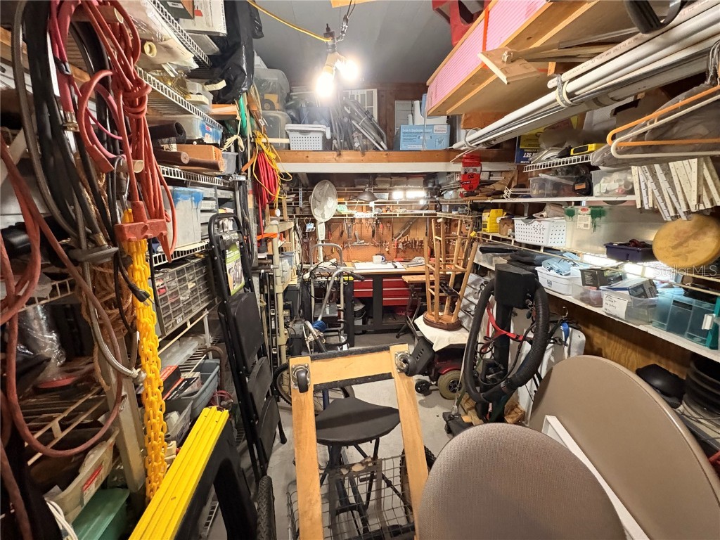 34089 Alamanda Drive N Pinellas Park FL 33781 TB8447132 image23