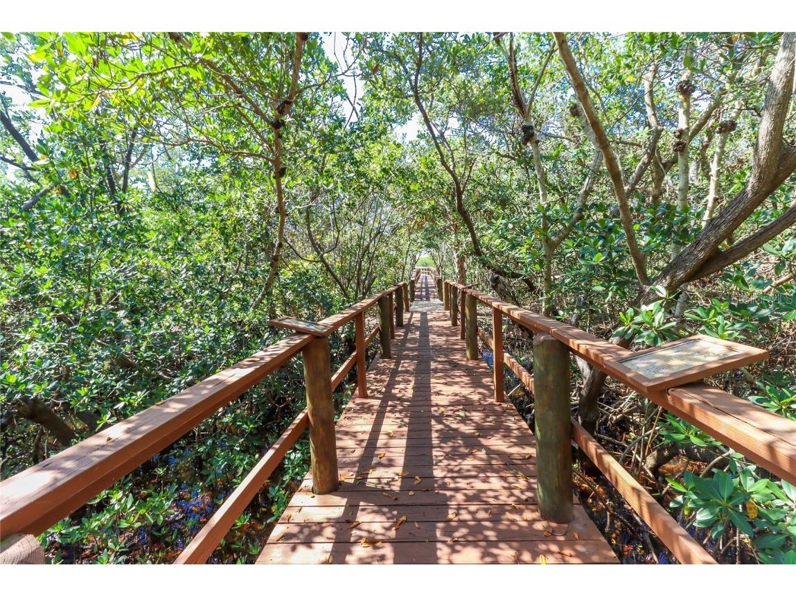 3409 10th Lane W Palmetto FL 34221 A4654387 image56