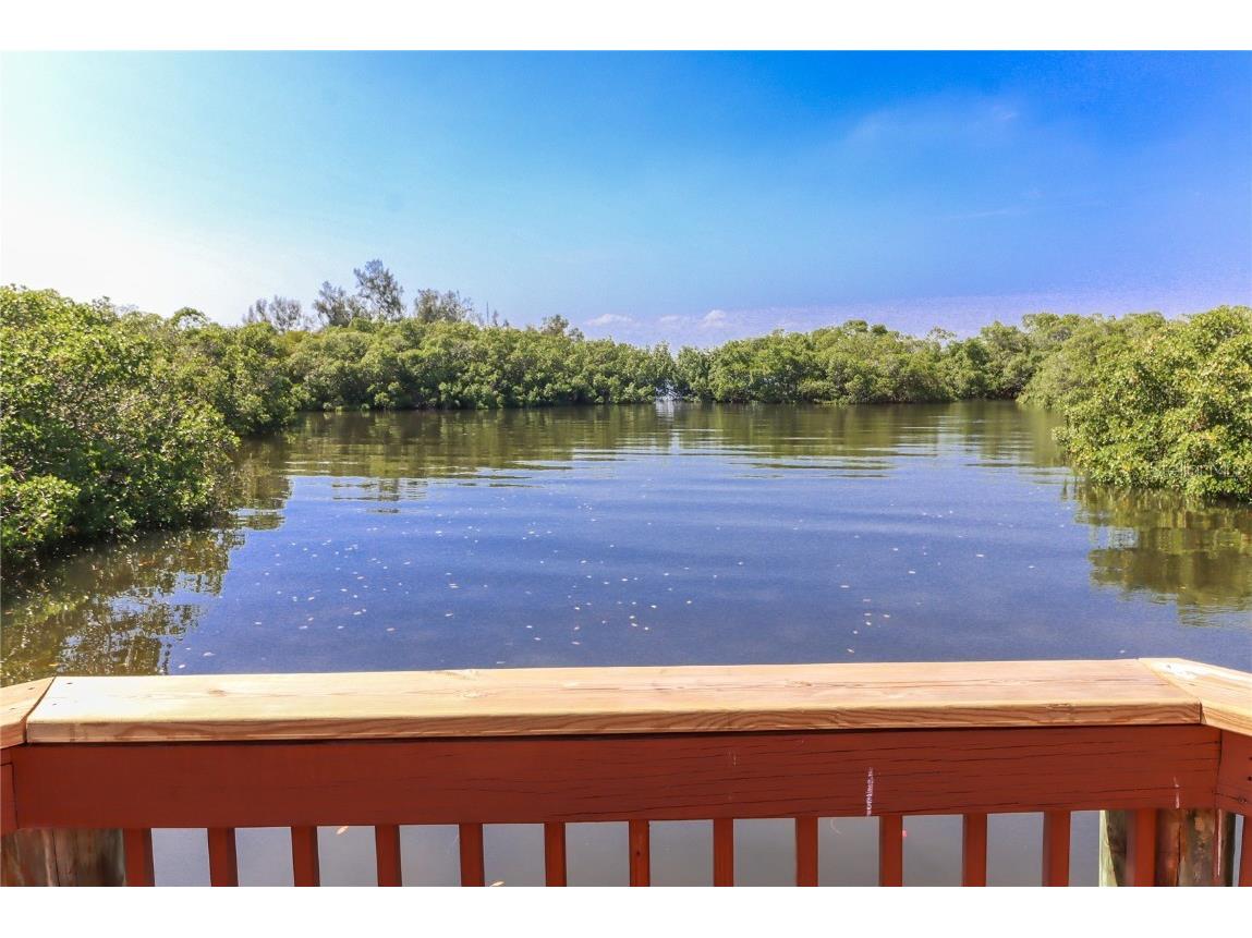 3409 10th Lane W Palmetto FL 34221 A4654387 image59