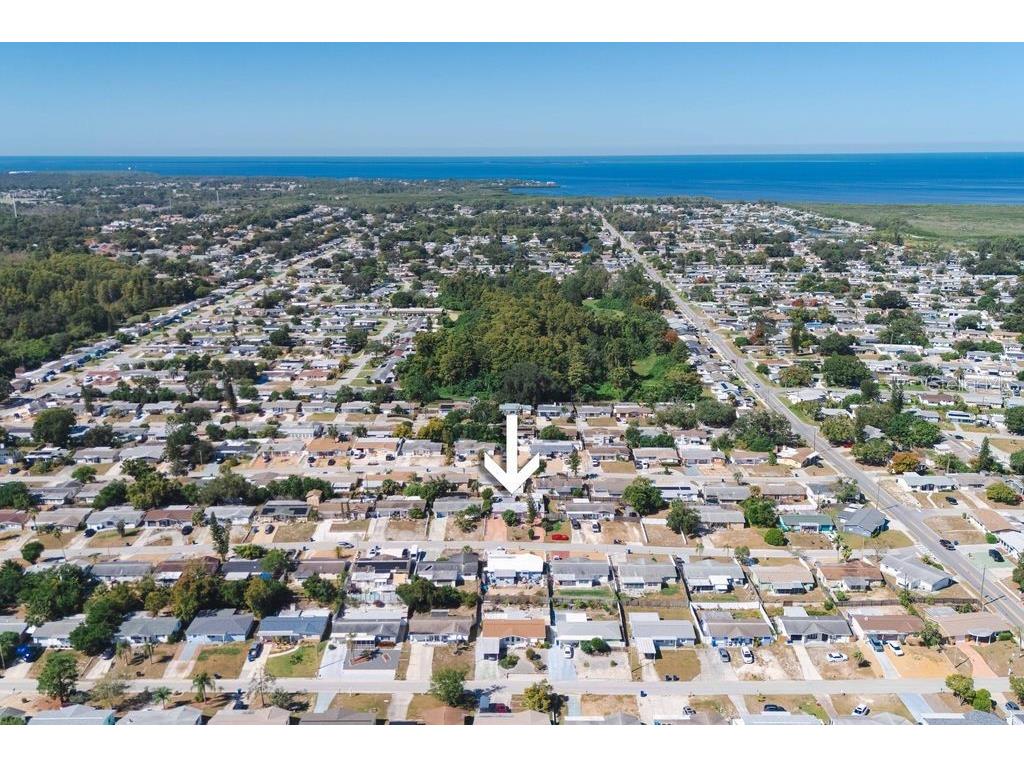 3409 Briar Cliff Drive Holiday FL 34691 TB8438139 image8