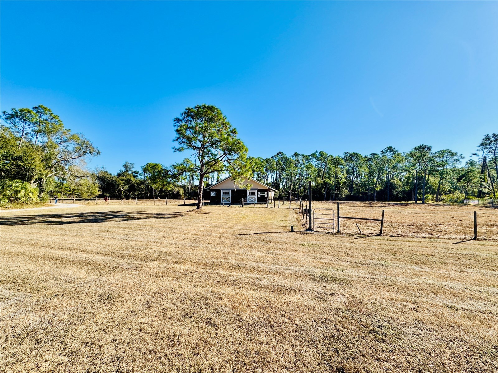 3409 Elkrem Avenue North Port FL 34286 N6142684 image76