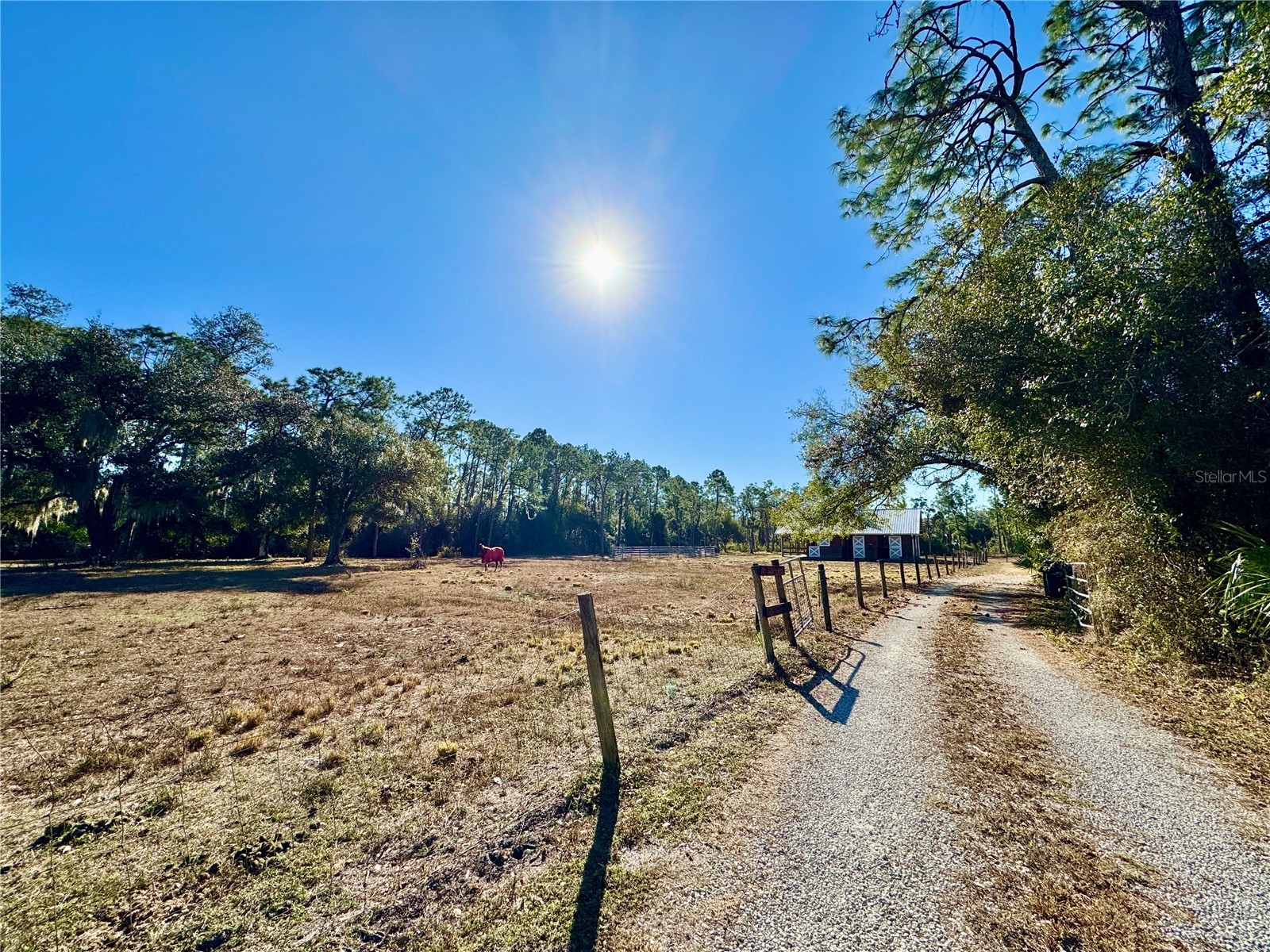 3409 Elkrem Avenue North Port FL 34286 N6142684 image8