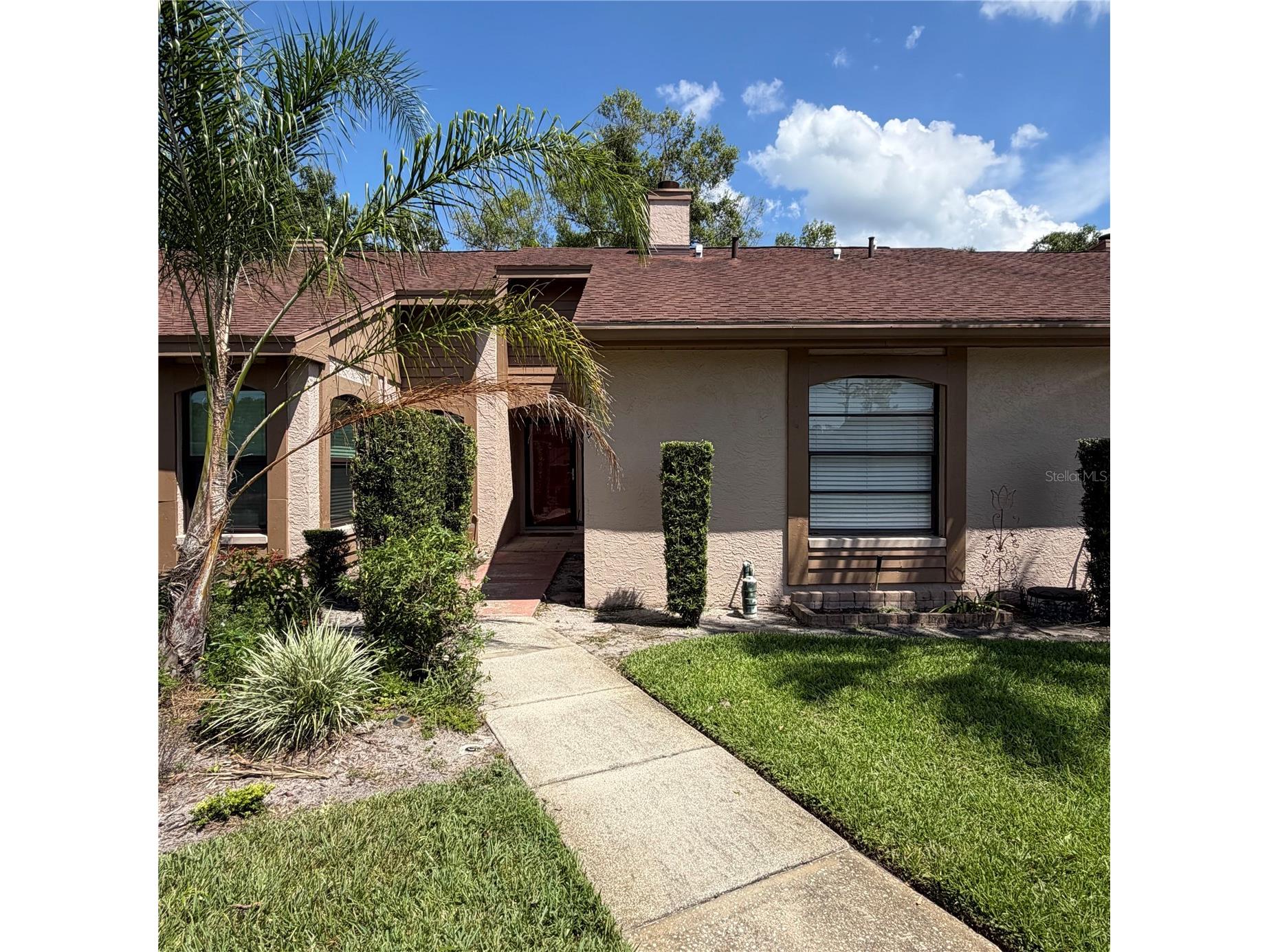3409 Hill Moor Drive Palm Harbor FL 34685 TB8524584 image1