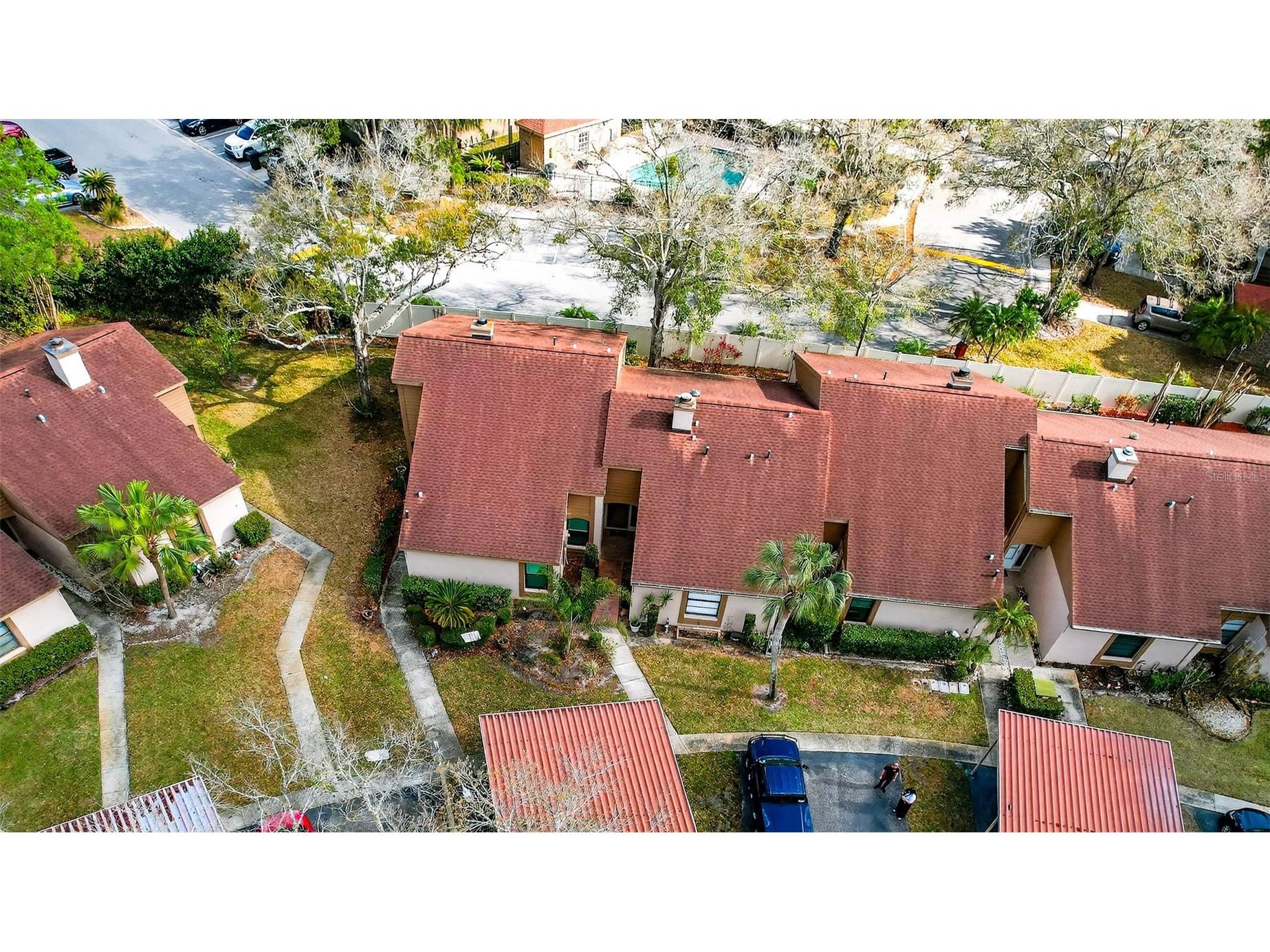 3409 Hill Moor Drive Palm Harbor FL 34685 TB8524584 image14