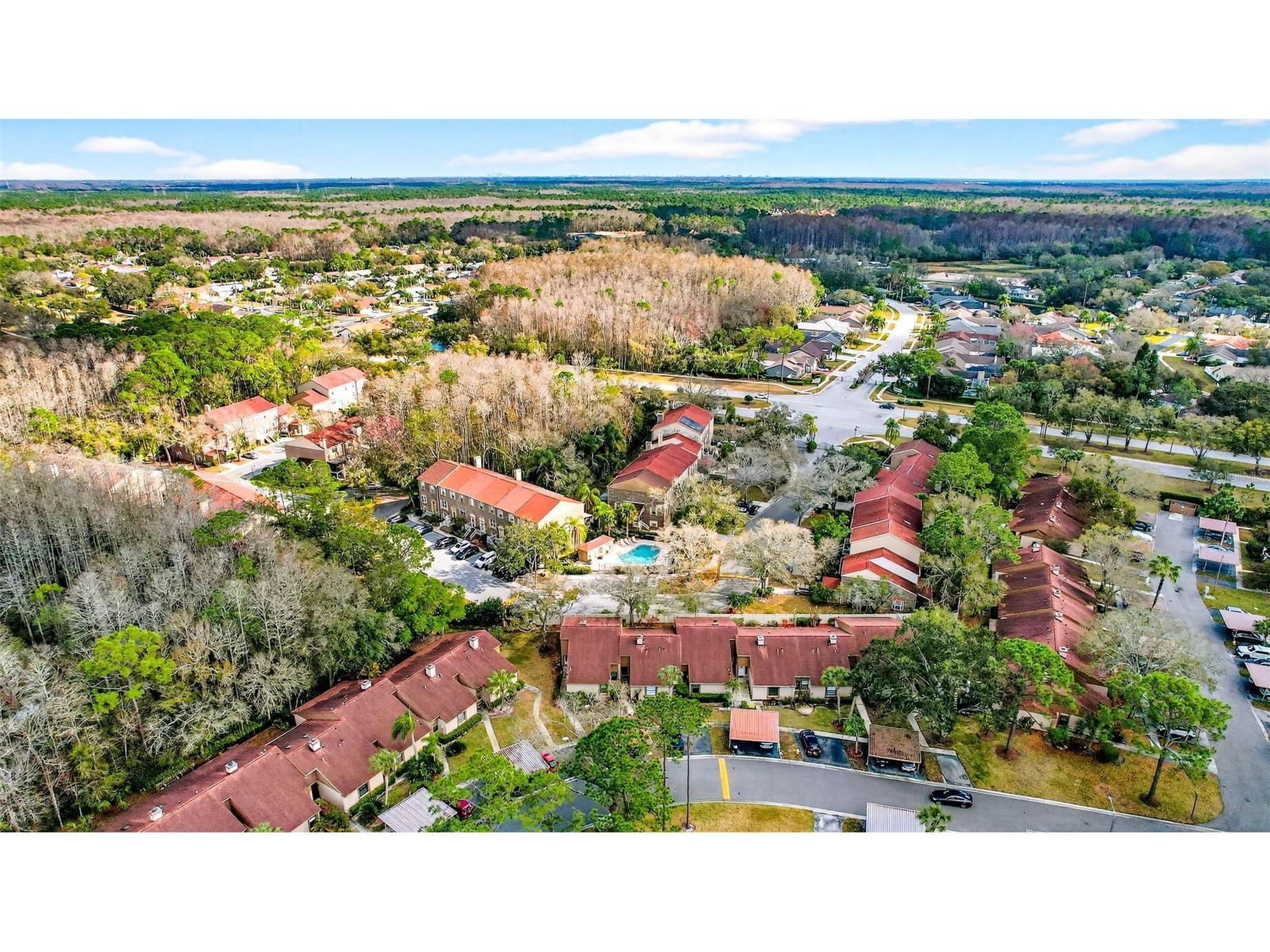 3409 Hill Moor Drive Palm Harbor FL 34685 TB8524584 image17