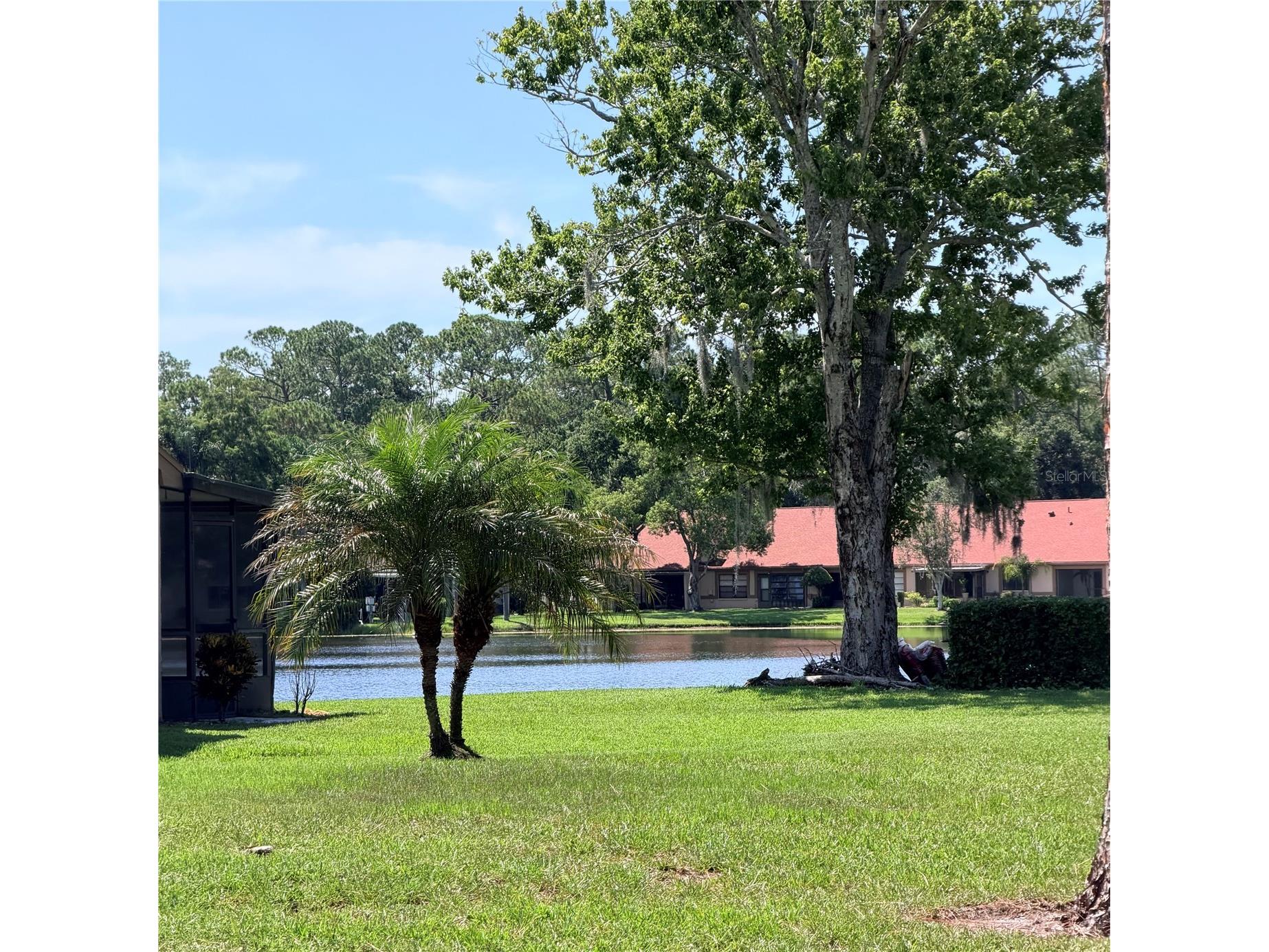 3409 Hill Moor Drive Palm Harbor FL 34685 TB8524584 image18