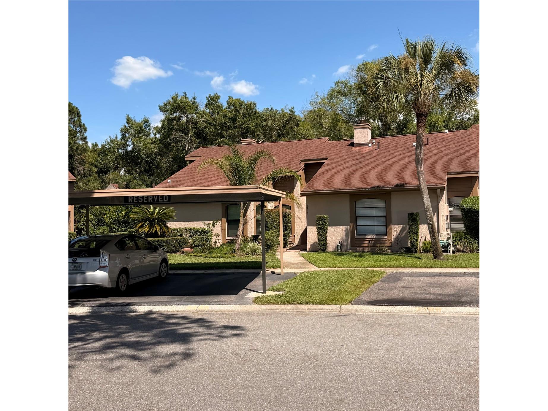 3409 Hill Moor Drive Palm Harbor FL 34685 TB8524584 image2