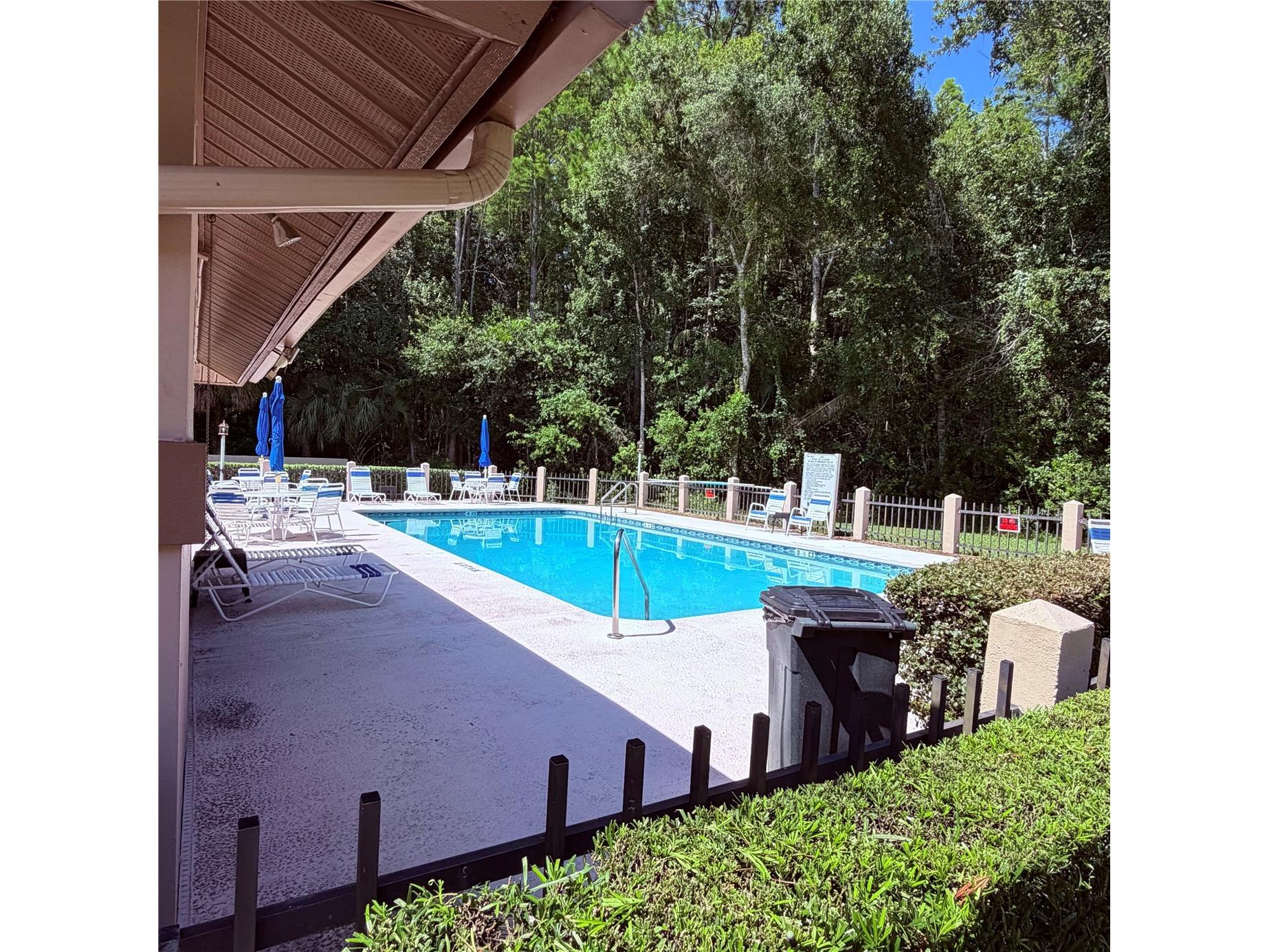 3409 Hill Moor Drive Palm Harbor FL 34685 TB8524584 image21