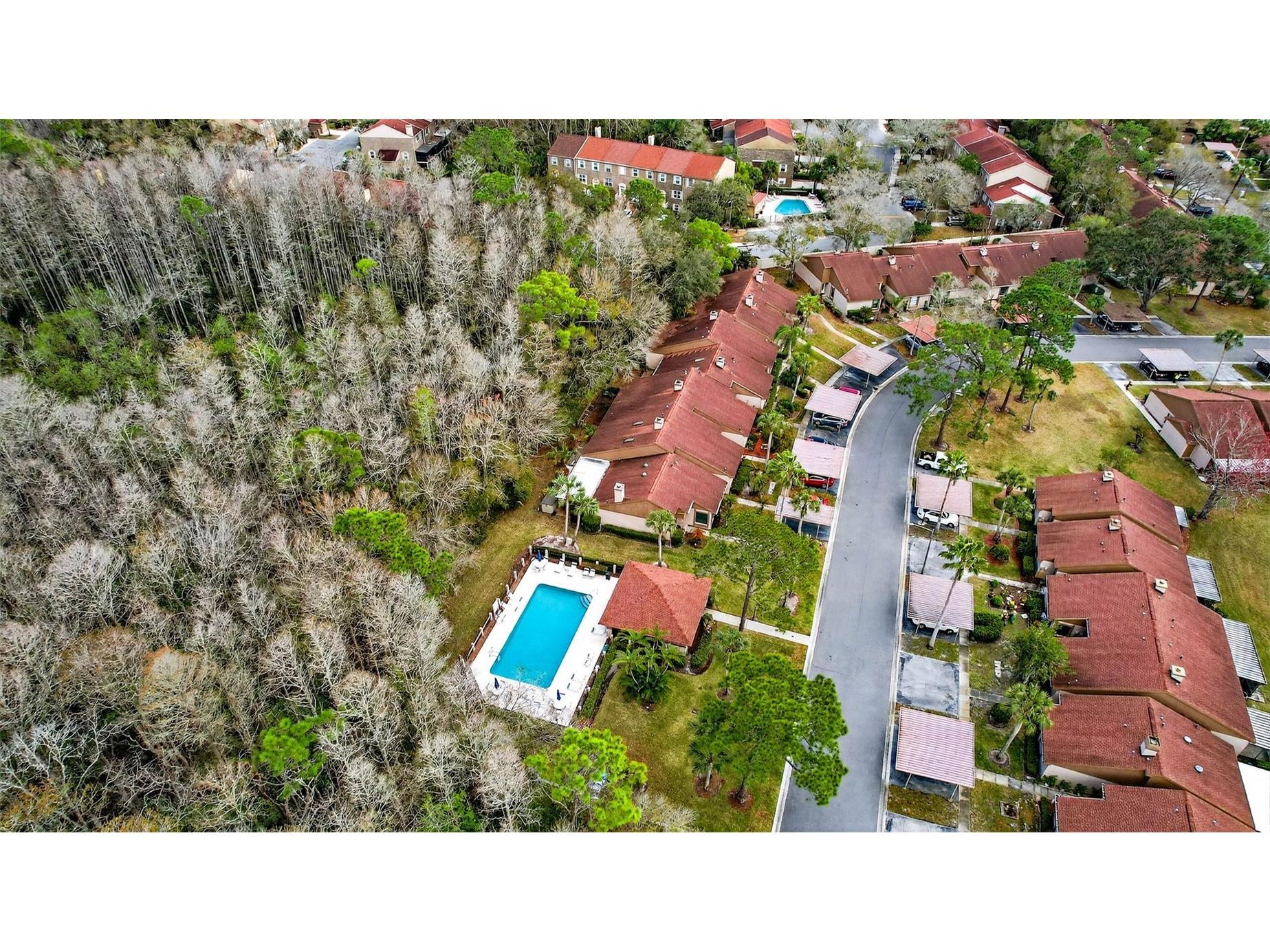 3409 Hill Moor Drive Palm Harbor FL 34685 TB8524584 image22