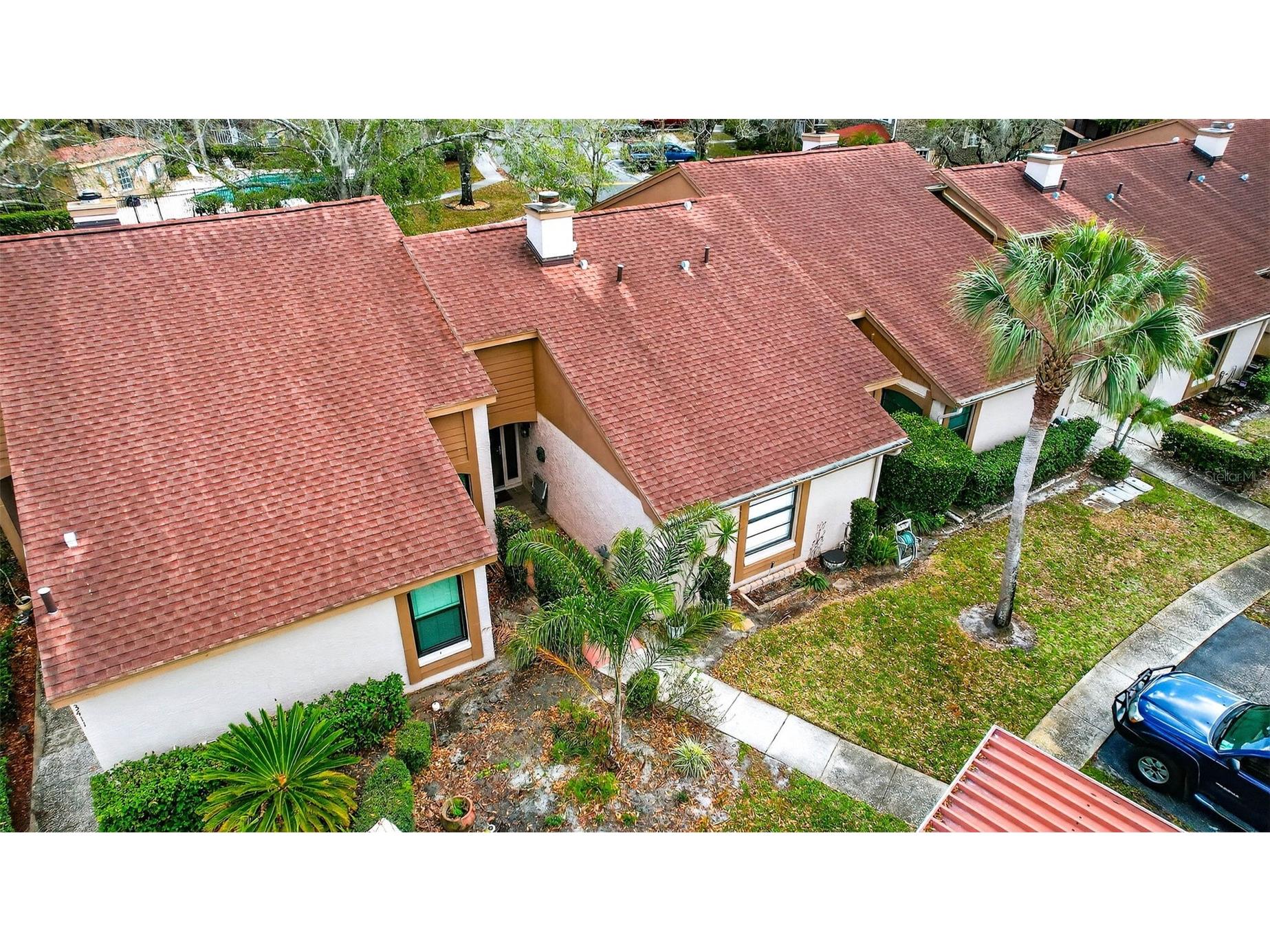 3409 Hill Moor Drive Palm Harbor FL 34685 TB8524584 image3