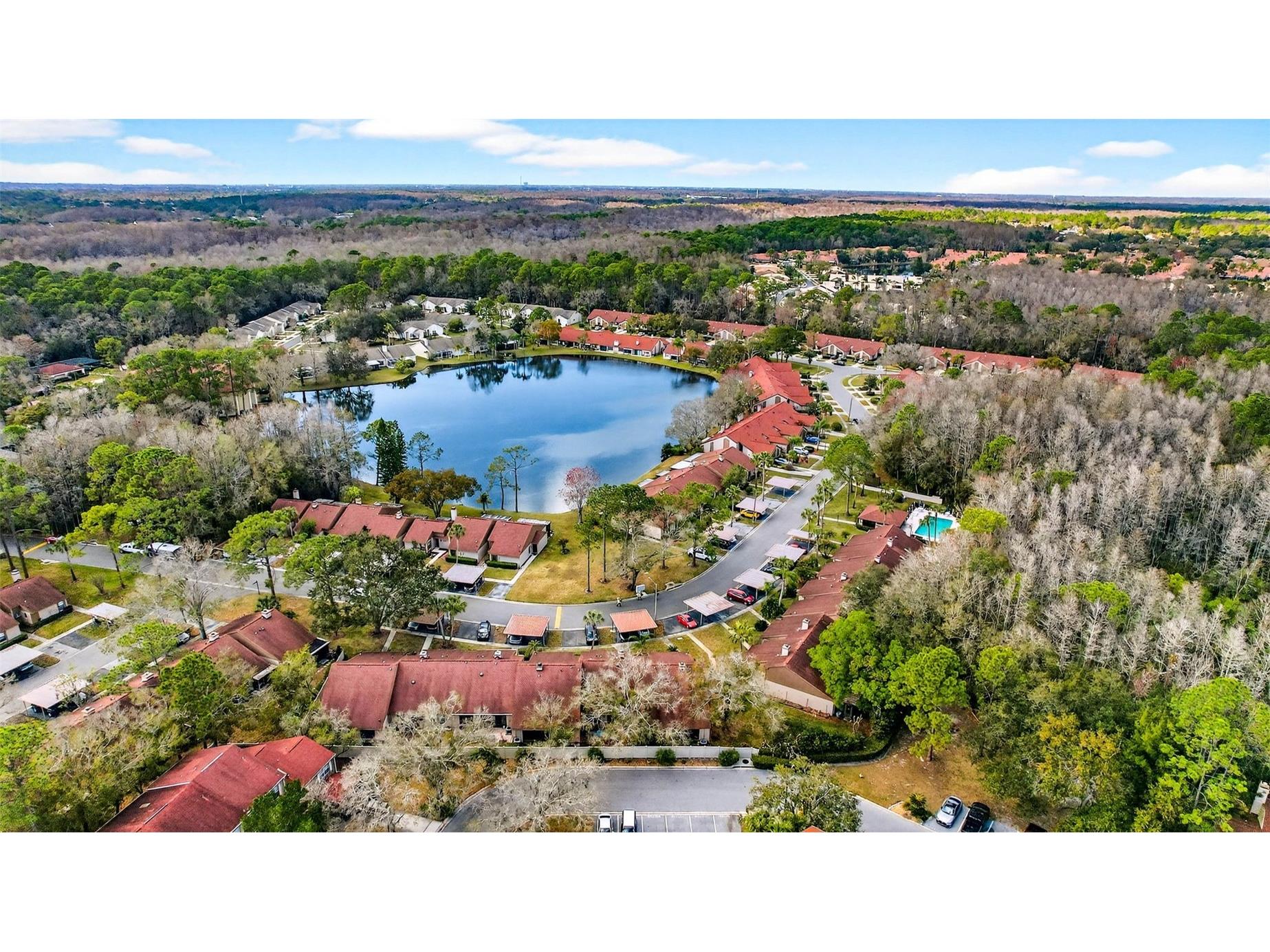 3409 Hill Moor Drive Palm Harbor FL 34685 TB8524584 image4