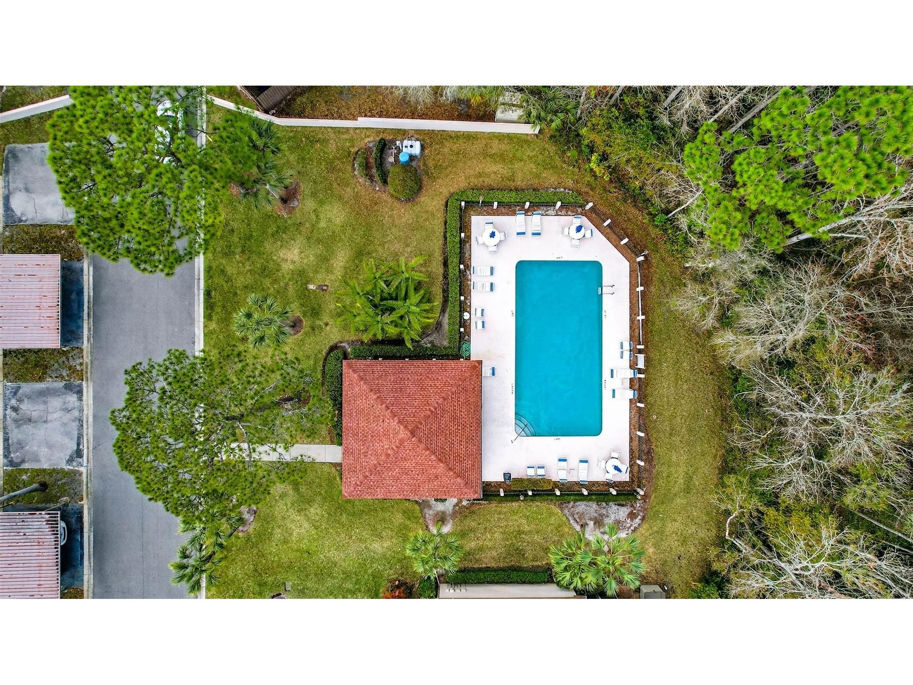 3409 Hill Moor Drive Palm Harbor FL 34685 TB8524584 image5