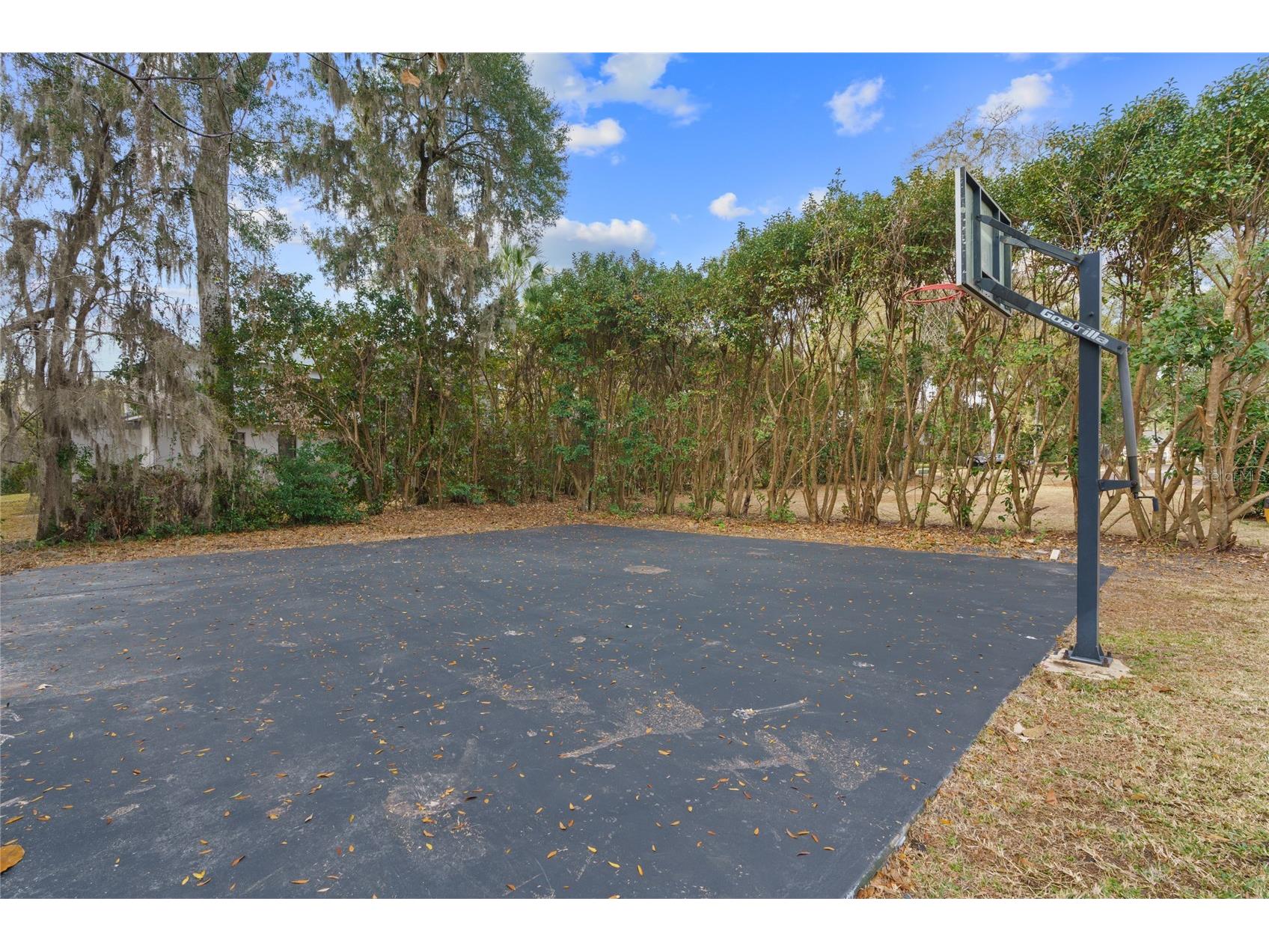 3409 SE 17th Court Ocala FL 34471 OM720287 image77