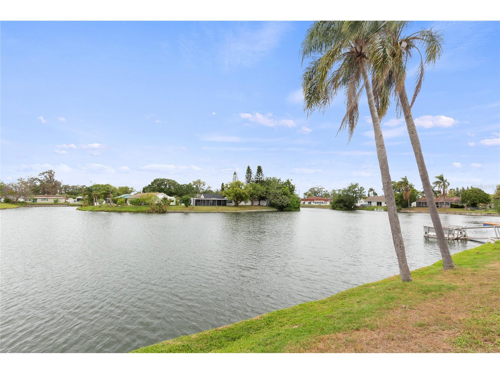 3409 Springfield Drive Holiday FL 34691 TB8495599 image41