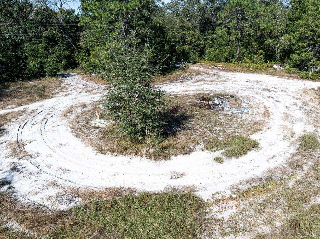 34095 Hyatt Rd Dade City FL 33523 - WITHLACOOCHEE RIVER O6355486 image11