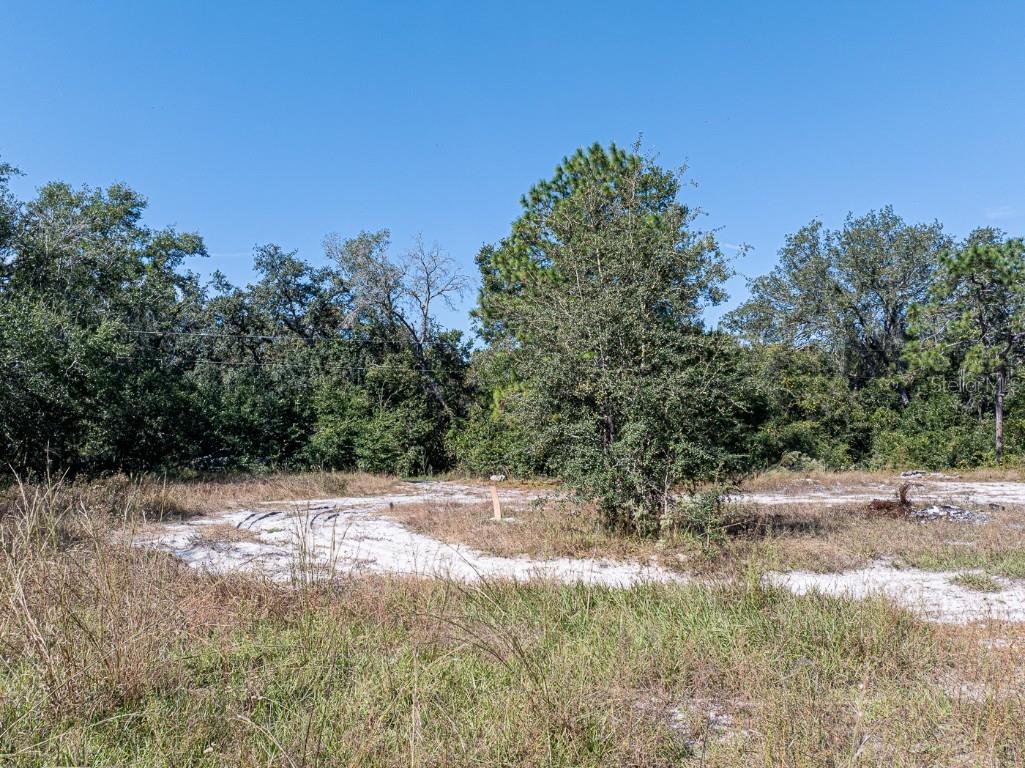 34095 Hyatt Rd Dade City FL 33523 - WITHLACOOCHEE RIVER O6355486 image12