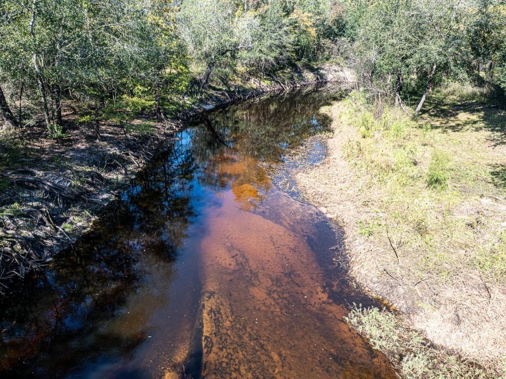 34095 Hyatt Rd Dade City FL 33523 - WITHLACOOCHEE RIVER O6355486 image15