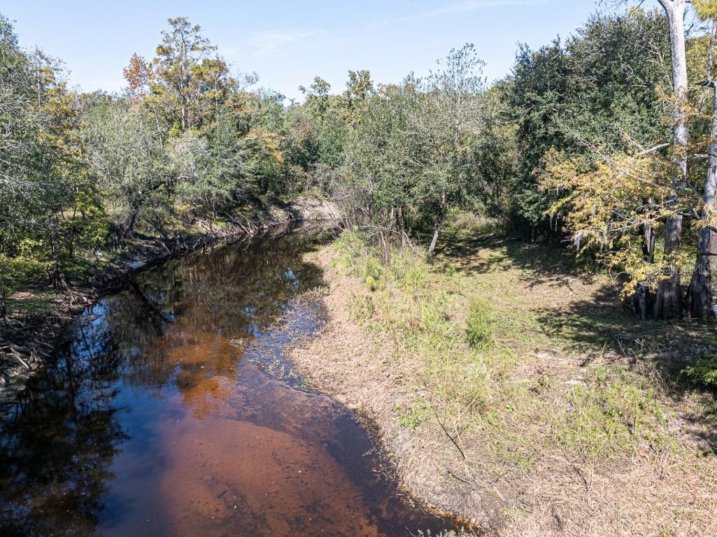 34095 Hyatt Rd Dade City FL 33523 - WITHLACOOCHEE RIVER O6355486 image16
