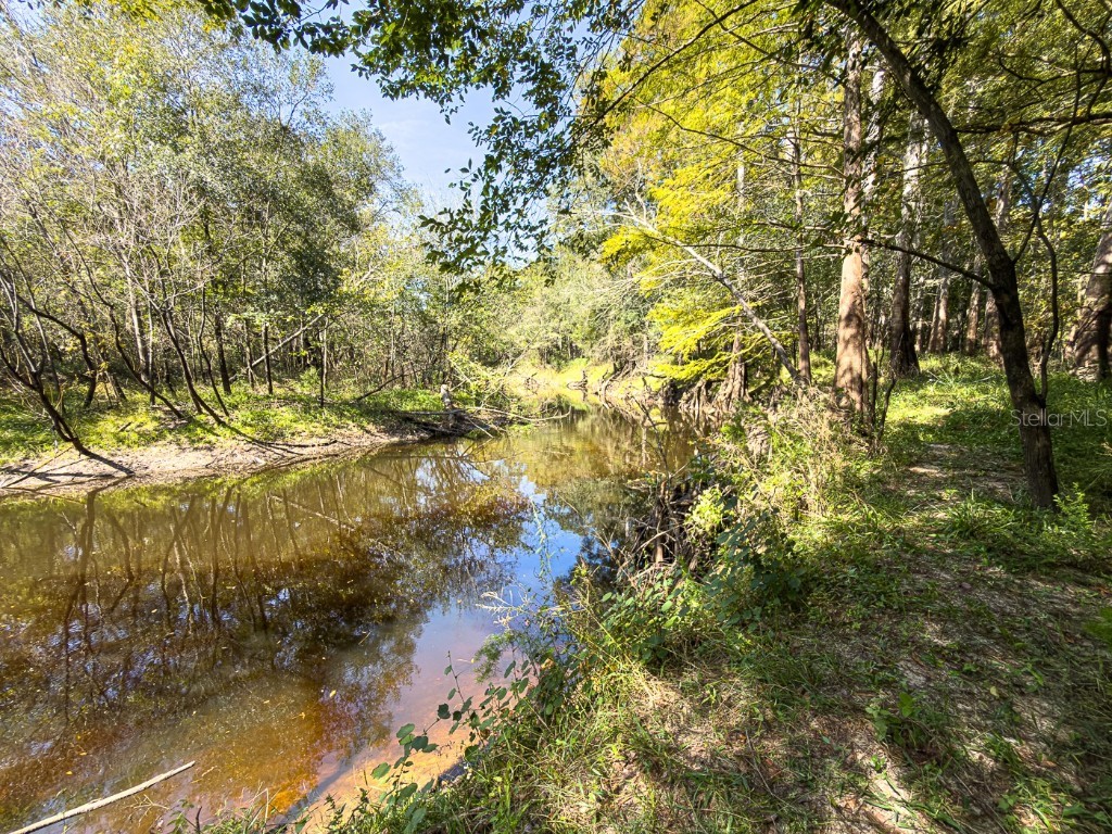 34095 Hyatt Rd Dade City FL 33523 - WITHLACOOCHEE RIVER O6355486 image20