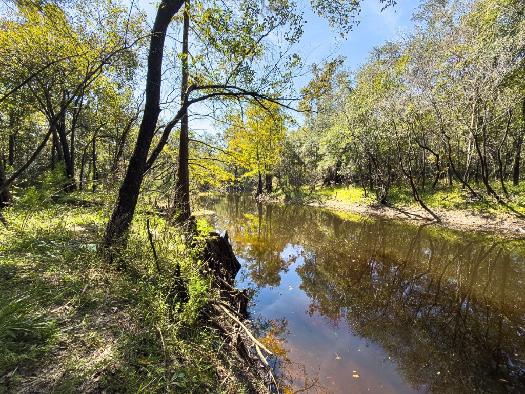 34095 Hyatt Rd Dade City FL 33523 - WITHLACOOCHEE RIVER O6355486 image21