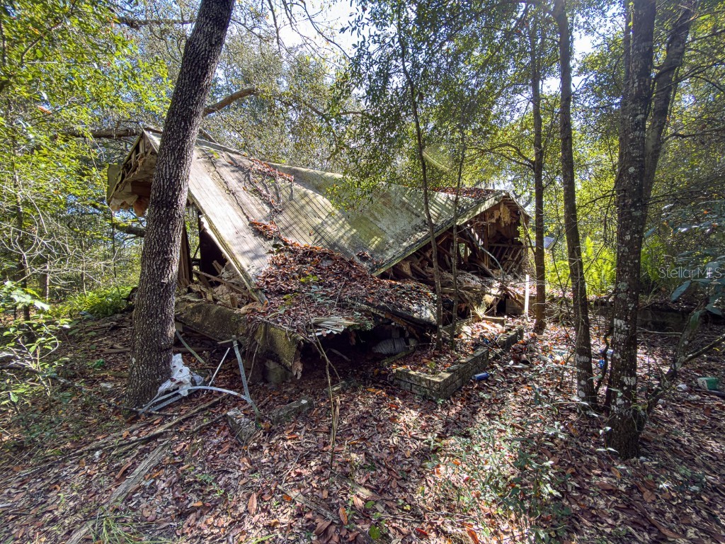 34095 Hyatt Rd Dade City FL 33523 - WITHLACOOCHEE RIVER O6355486 image25