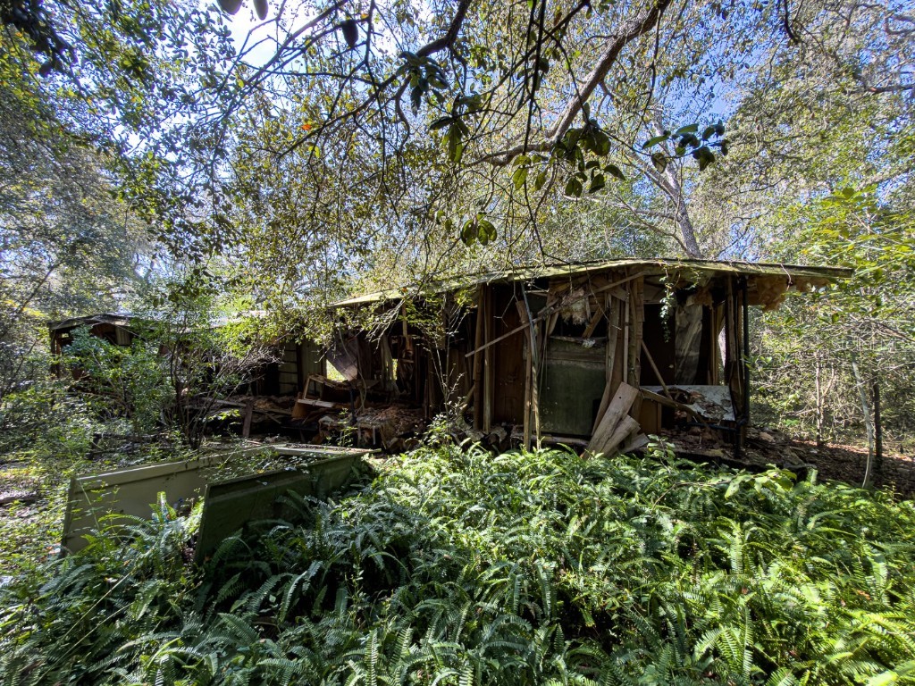 34095 Hyatt Rd Dade City FL 33523 - WITHLACOOCHEE RIVER O6355486 image26