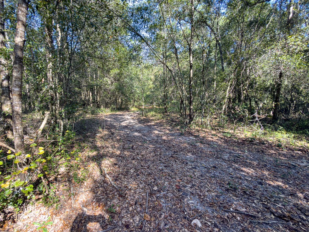 34095 Hyatt Rd Dade City FL 33523 - WITHLACOOCHEE RIVER O6355486 image31