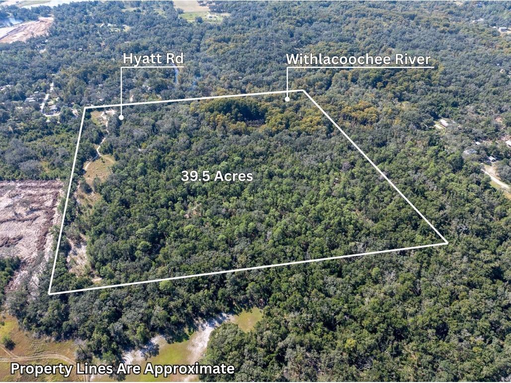 34095 Hyatt Rd Dade City FL 33523 - WITHLACOOCHEE RIVER O6355486 image4
