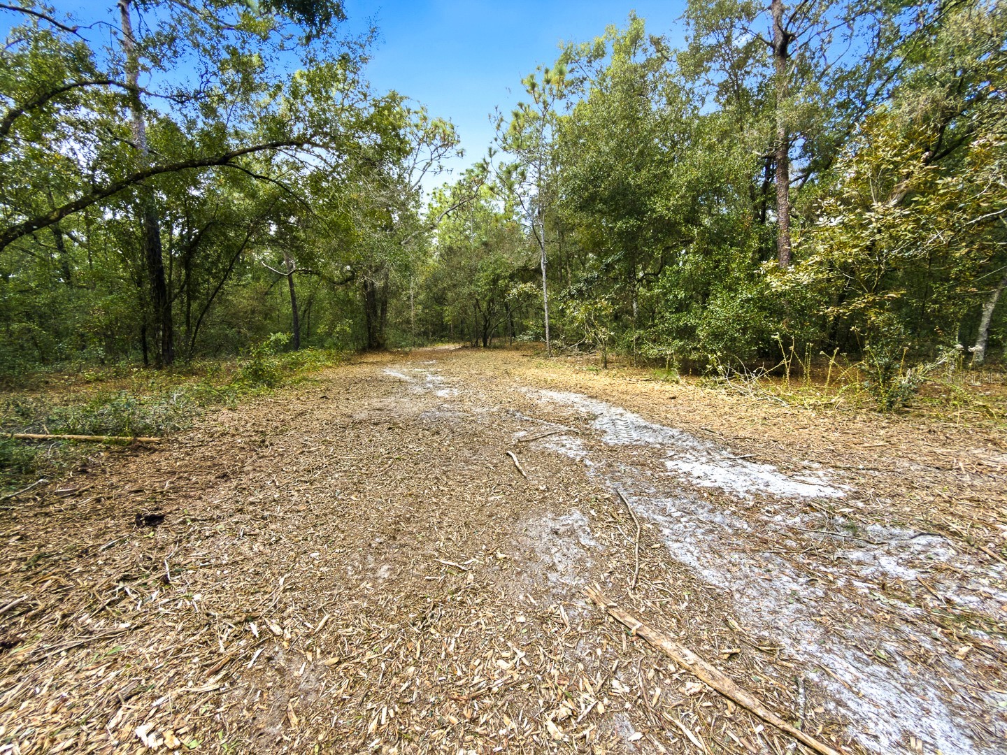 34095 Hyatt Rd Dade City FL 33523 - WITHLACOOCHEE RIVER O6355486 image44