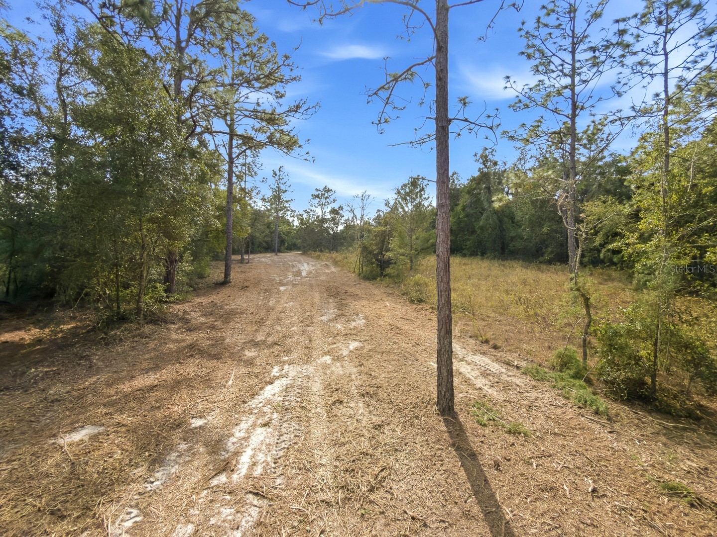 34095 Hyatt Rd Dade City FL 33523 - WITHLACOOCHEE RIVER O6355486 image45