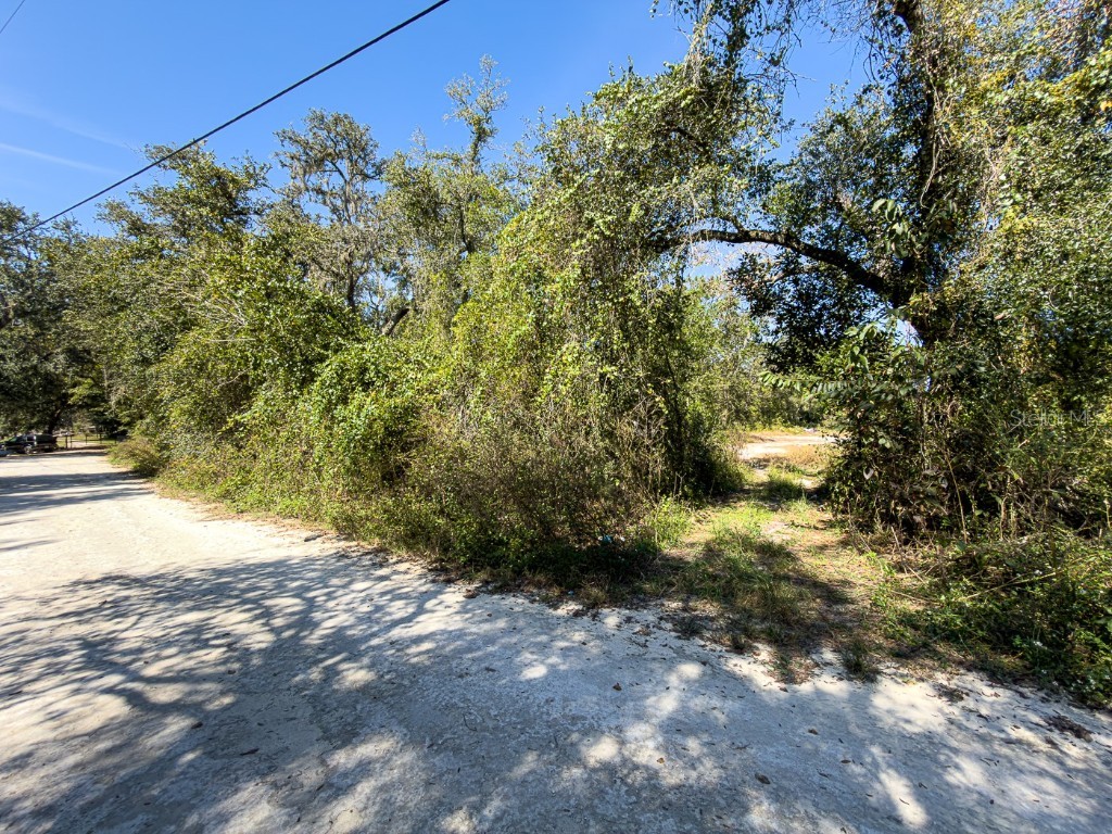 34095 Hyatt Rd Dade City FL 33523 - WITHLACOOCHEE RIVER O6355486 image5