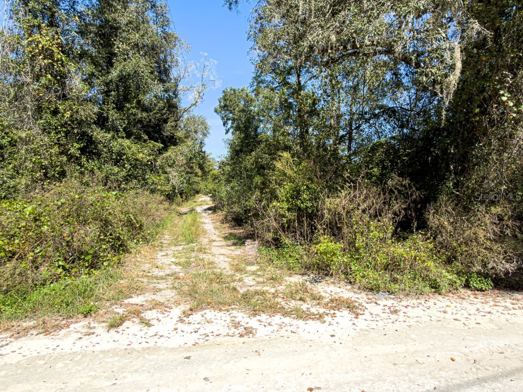 34095 Hyatt Rd Dade City FL 33523 - WITHLACOOCHEE RIVER O6355486 image6