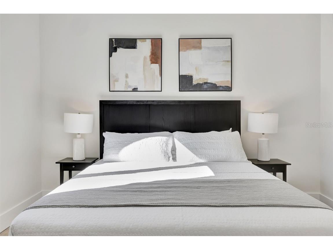 341 Albert Street Dunedin FL 34698 TB8340281 image28