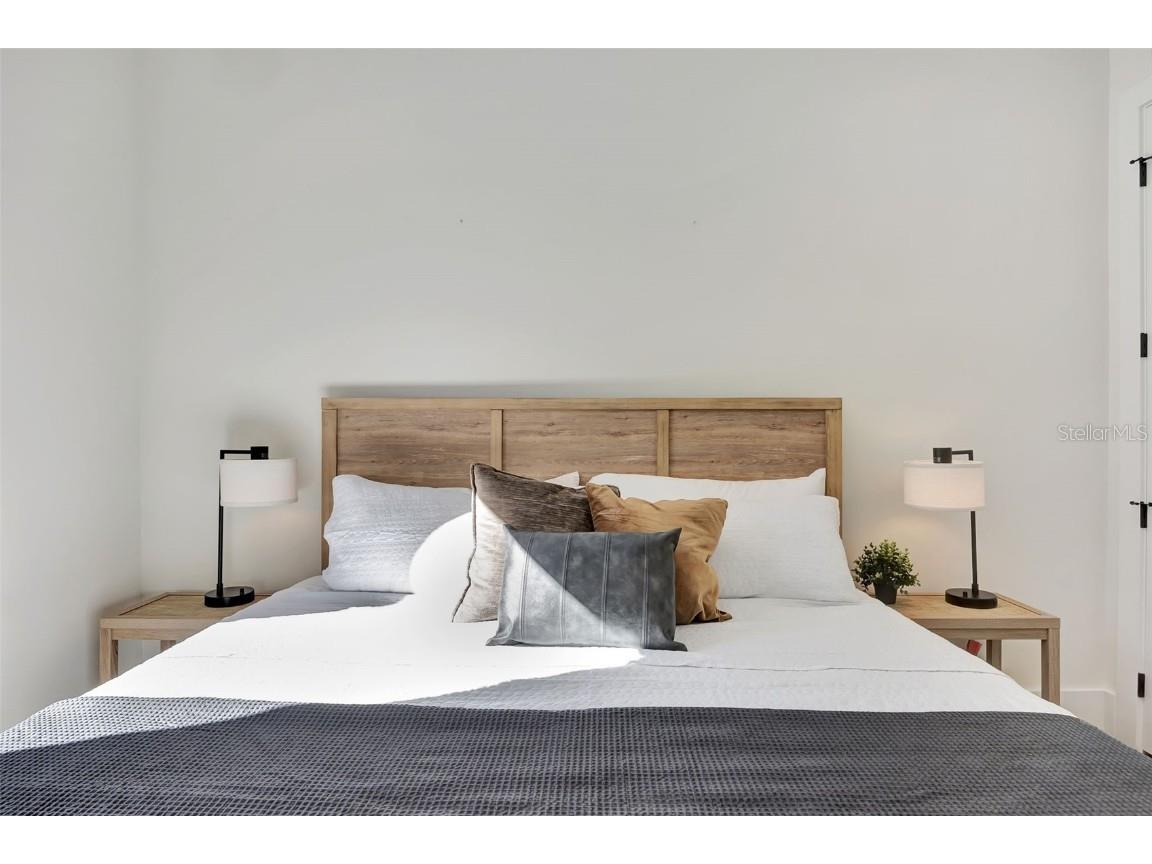 341 Albert Street Dunedin FL 34698 TB8340281 image41