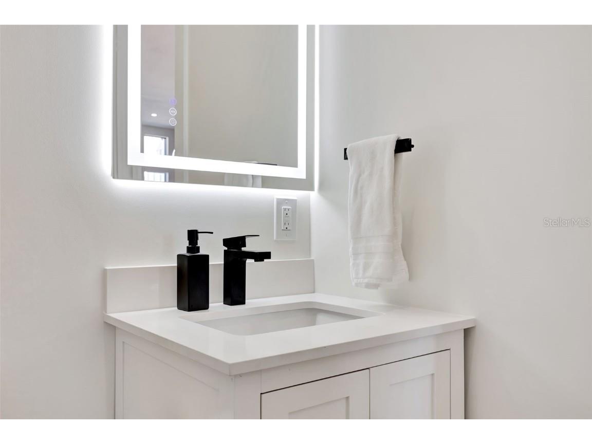 341 Albert Street Dunedin FL 34698 TB8340281 image45