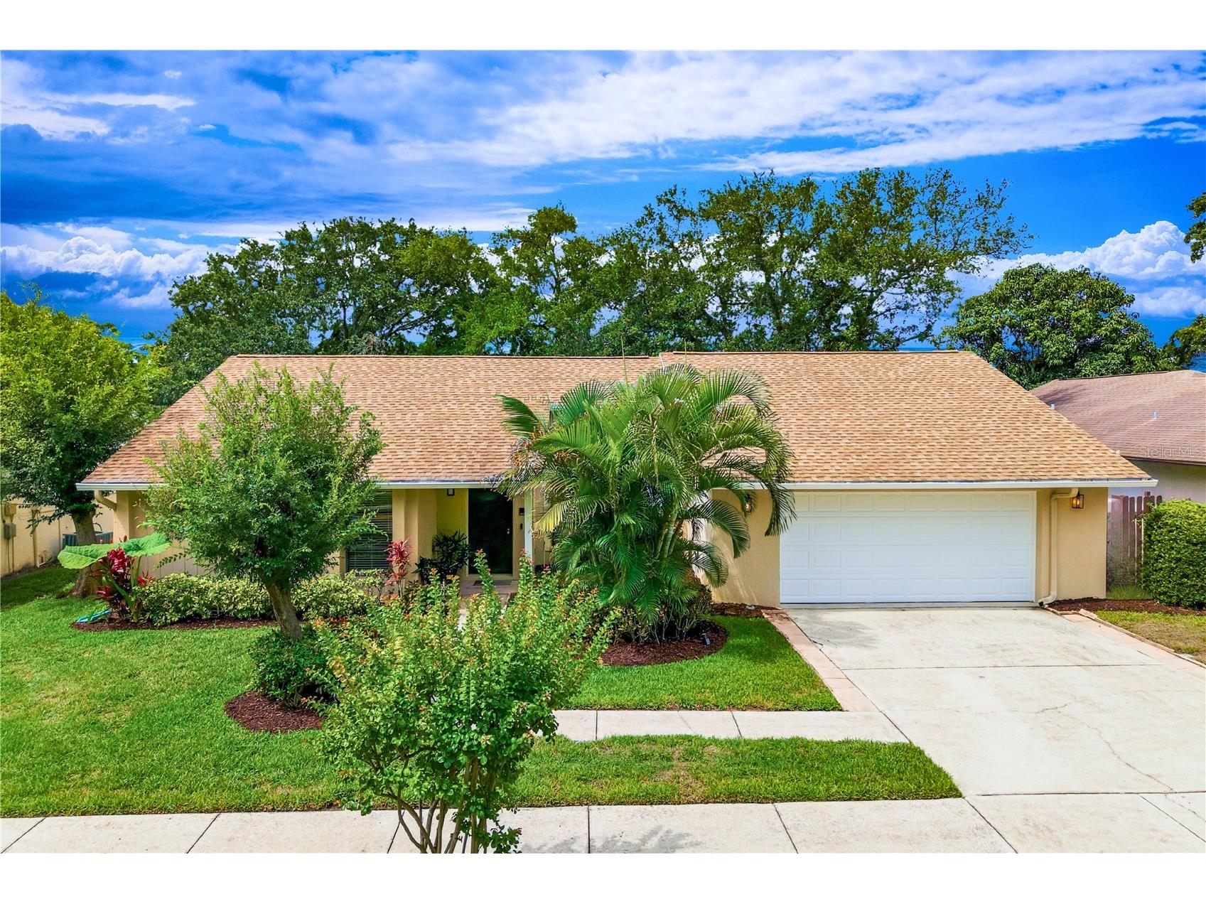 341 Arbor Drive W Palm Harbor FL 34683 TB8517549 image1