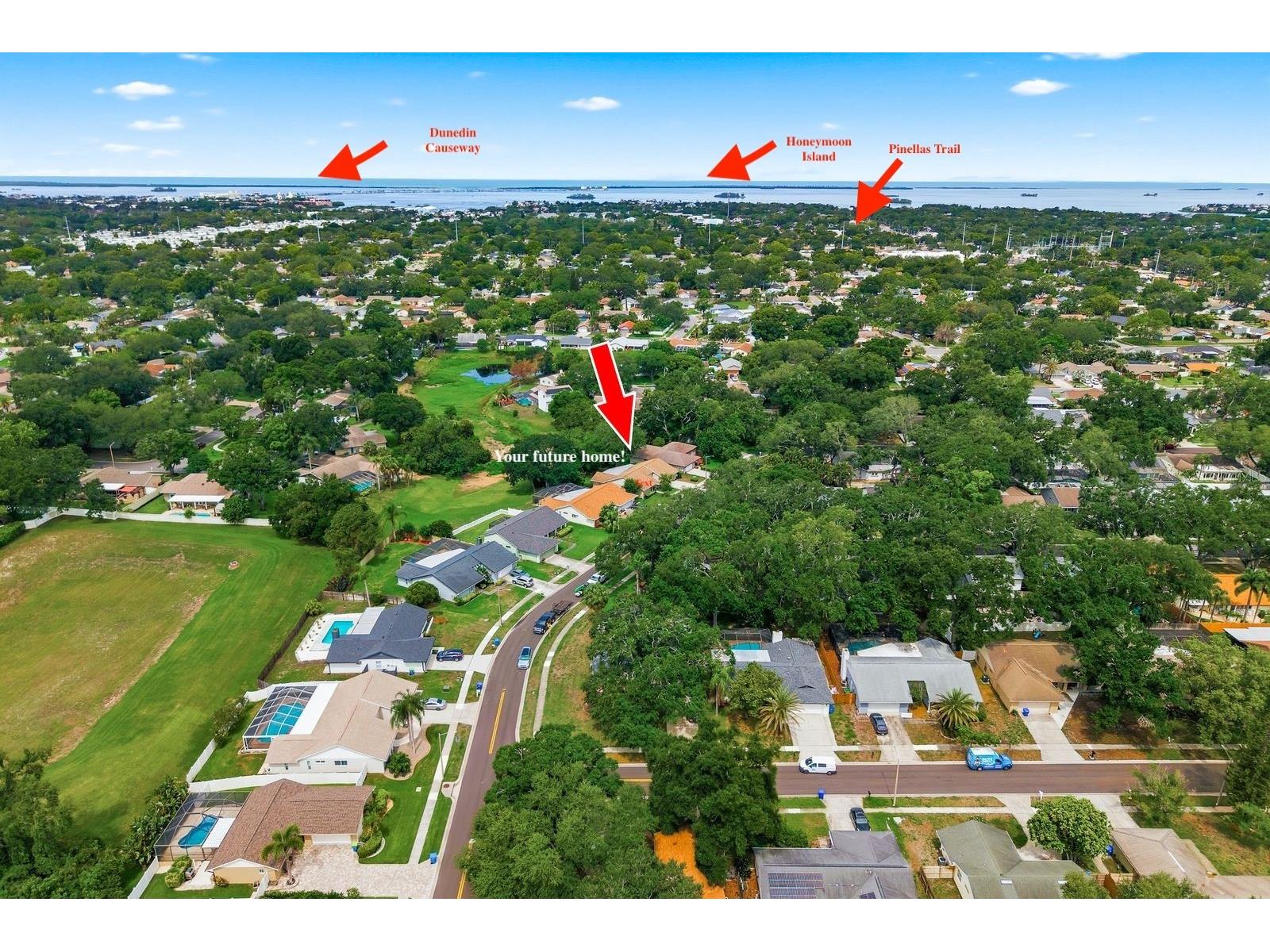 341 Arbor Drive W Palm Harbor FL 34683 TB8517549 image2