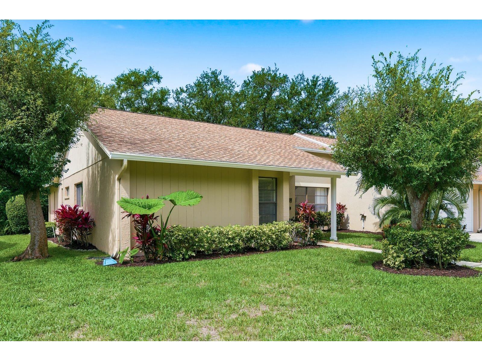 341 Arbor Drive W Palm Harbor FL 34683 TB8517549 image3
