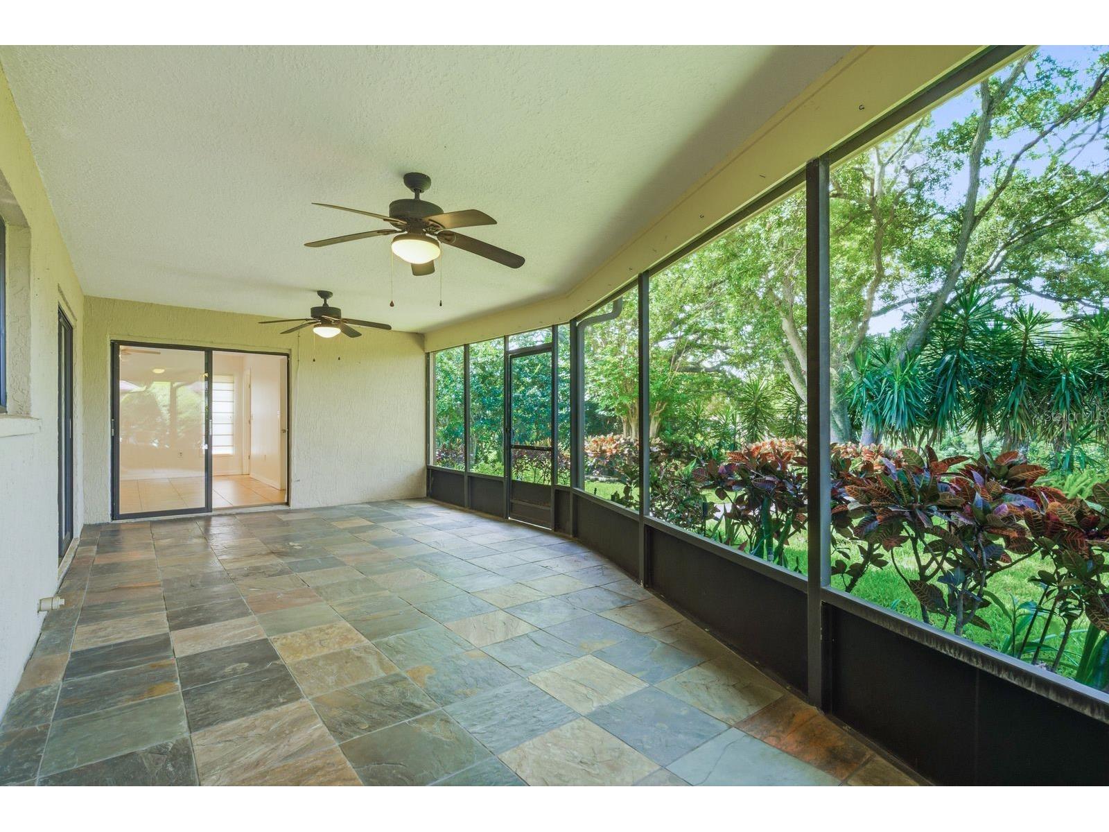 341 Arbor Drive W Palm Harbor FL 34683 TB8517549 image38