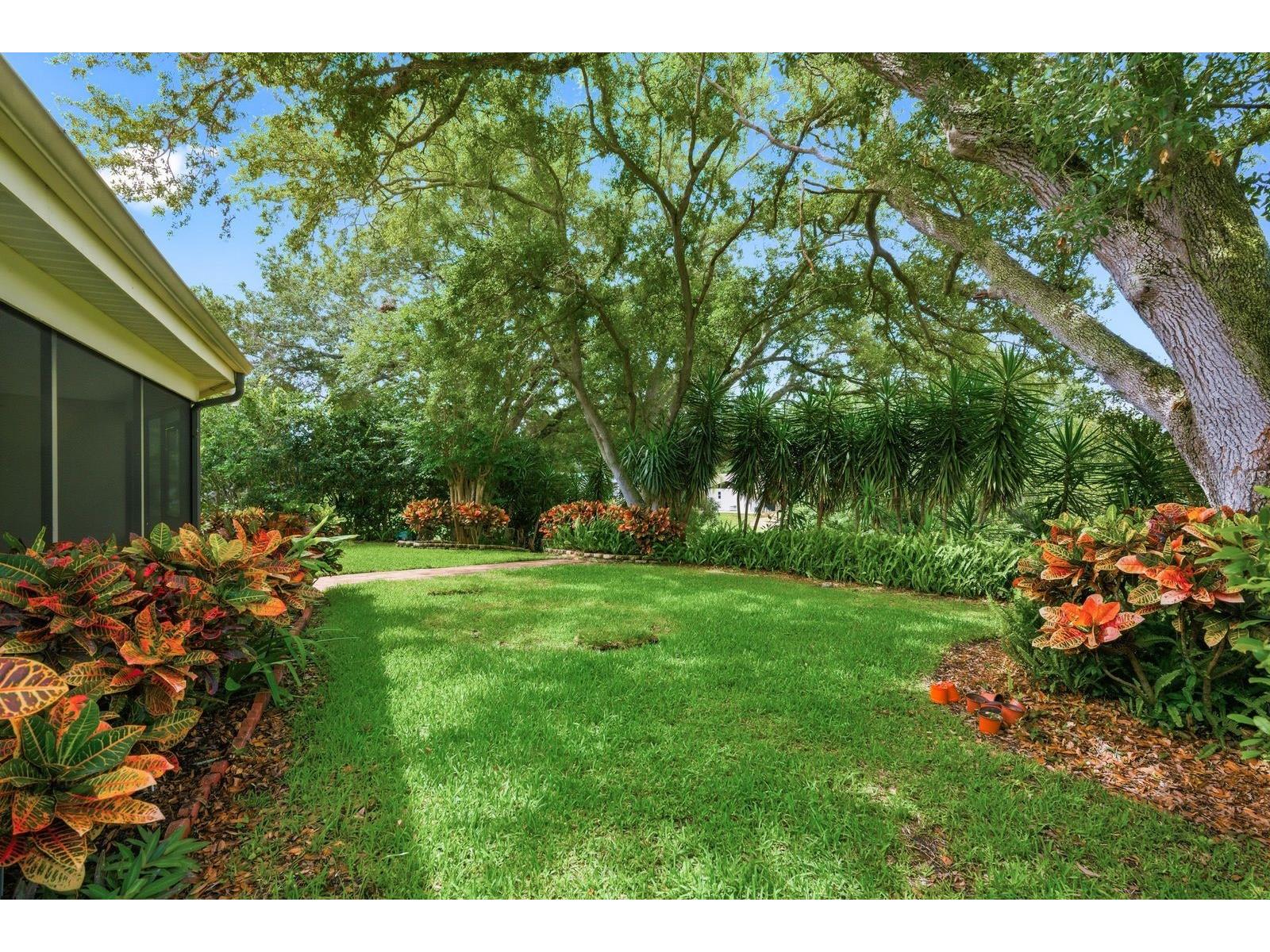 341 Arbor Drive W Palm Harbor FL 34683 TB8517549 image39