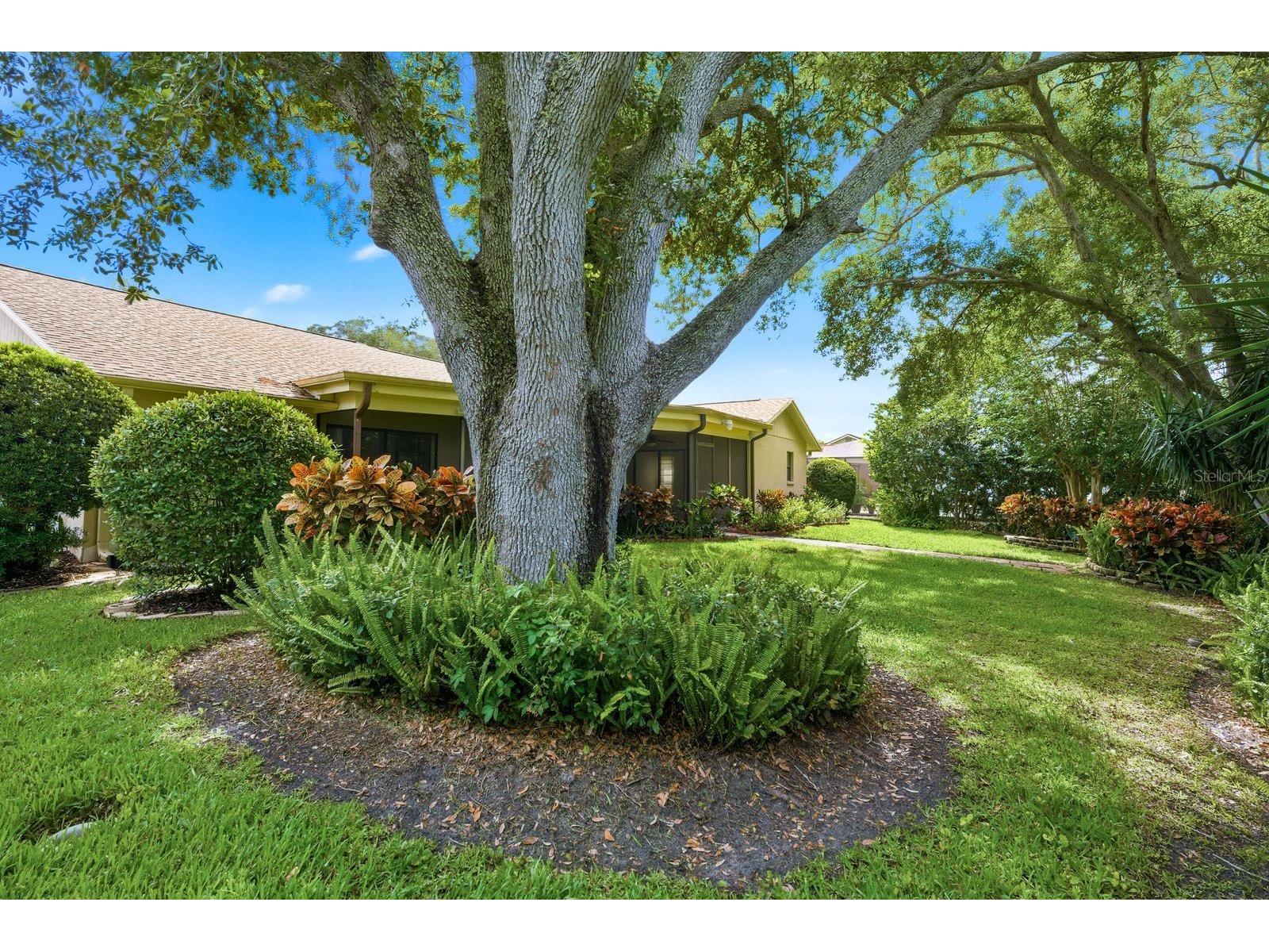 341 Arbor Drive W Palm Harbor FL 34683 TB8517549 image40