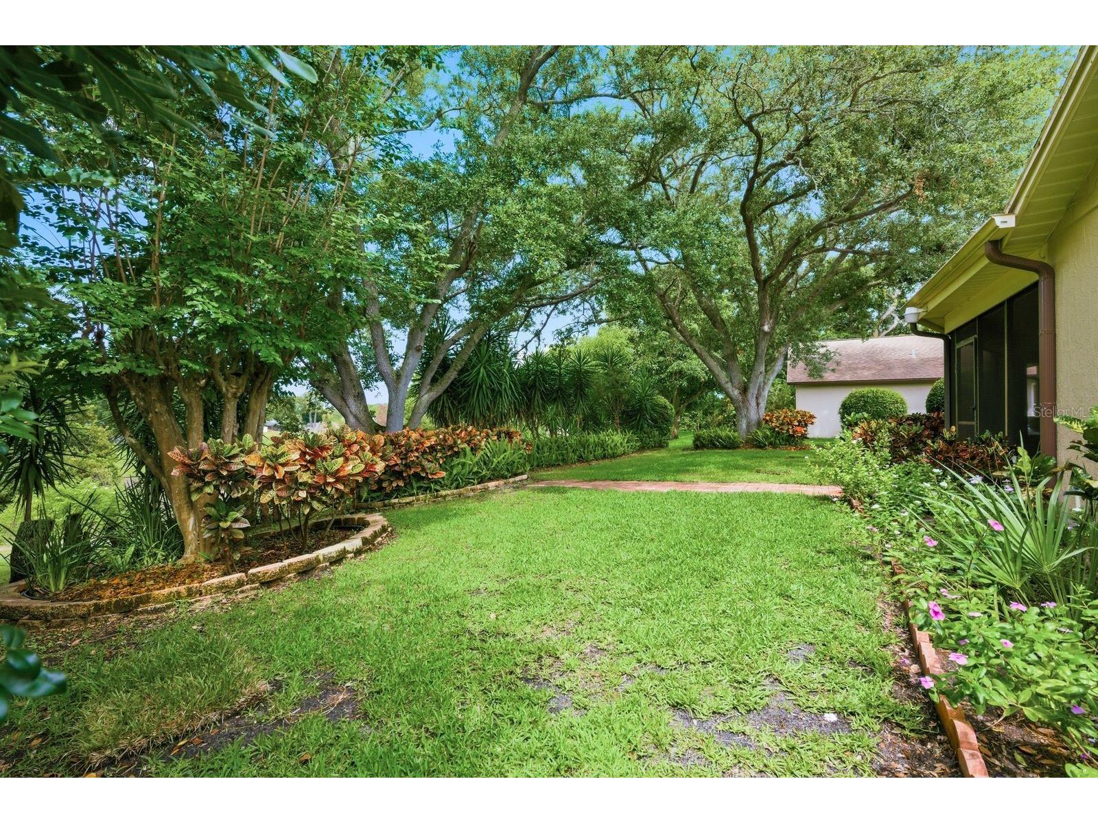 341 Arbor Drive W Palm Harbor FL 34683 TB8517549 image41