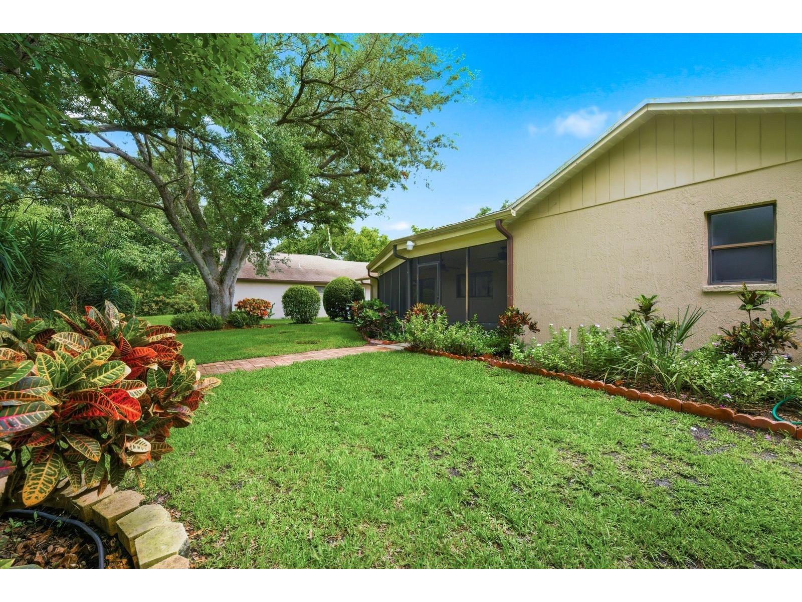 341 Arbor Drive W Palm Harbor FL 34683 TB8517549 image42