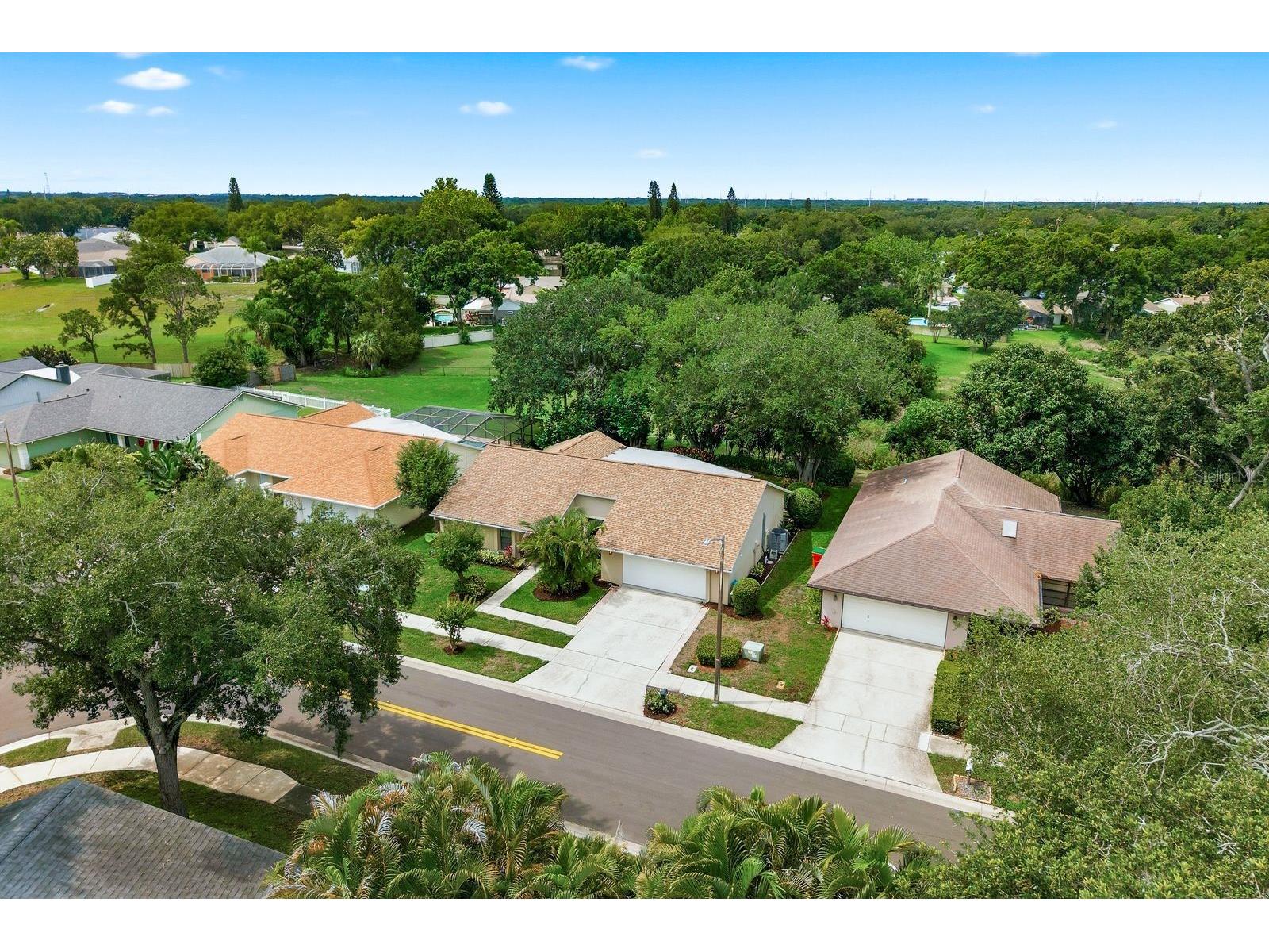341 Arbor Drive W Palm Harbor FL 34683 TB8517549 image44