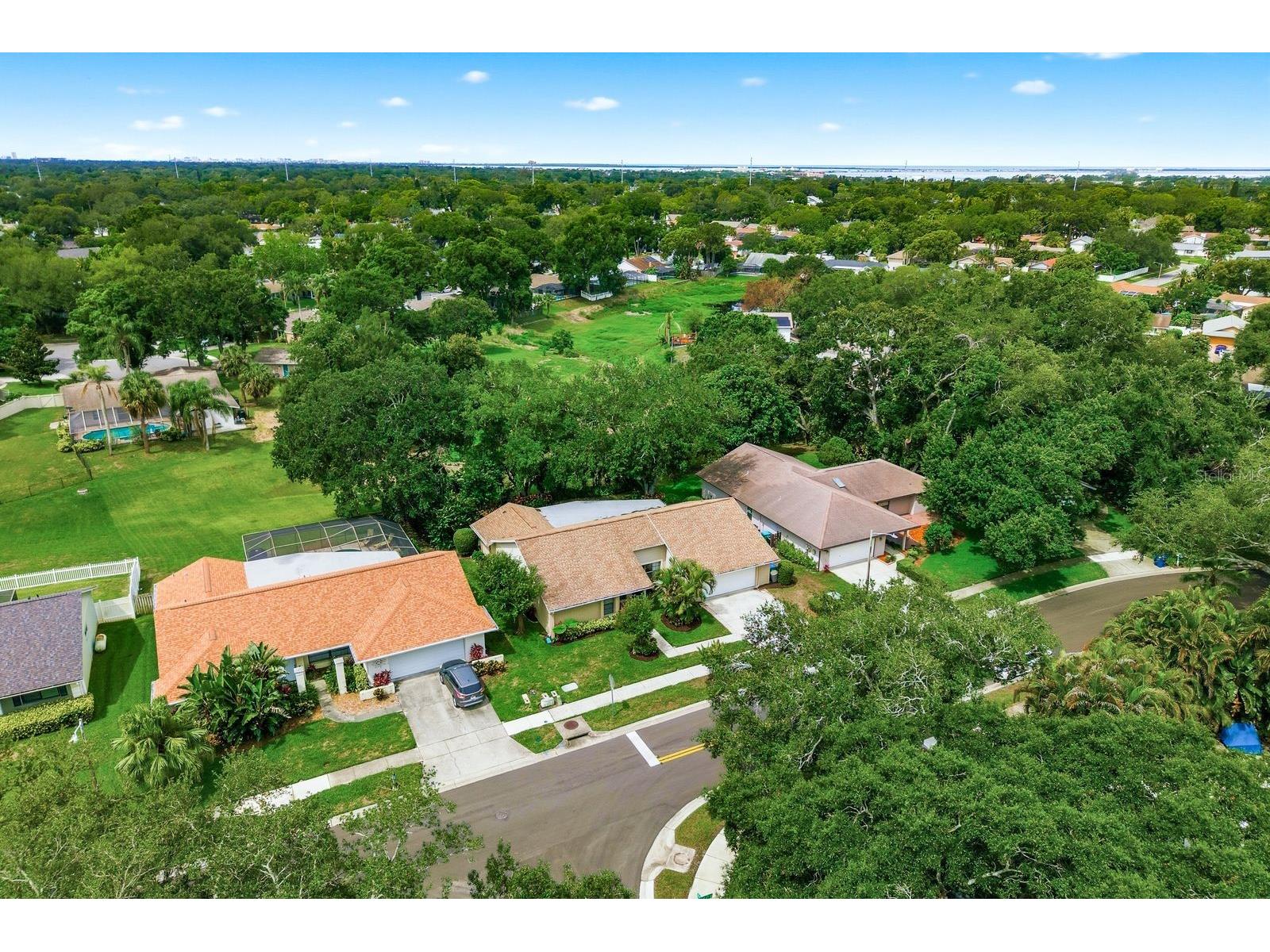 341 Arbor Drive W Palm Harbor FL 34683 TB8517549 image45