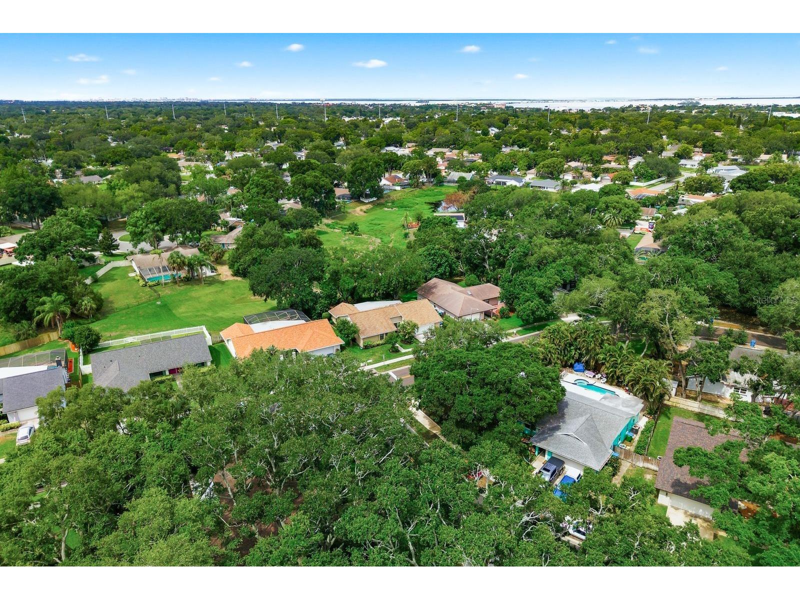 341 Arbor Drive W Palm Harbor FL 34683 TB8517549 image46