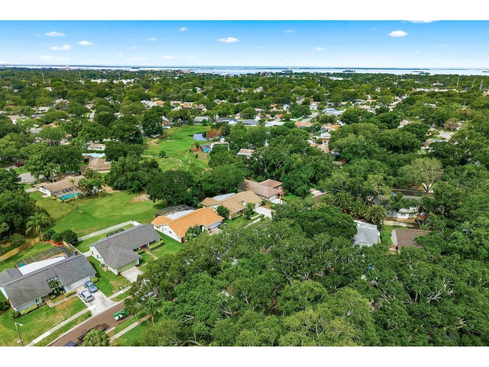 341 Arbor Drive W Palm Harbor FL 34683 TB8517549 image47