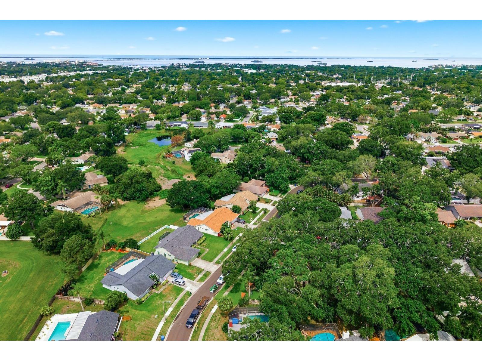 341 Arbor Drive W Palm Harbor FL 34683 TB8517549 image48