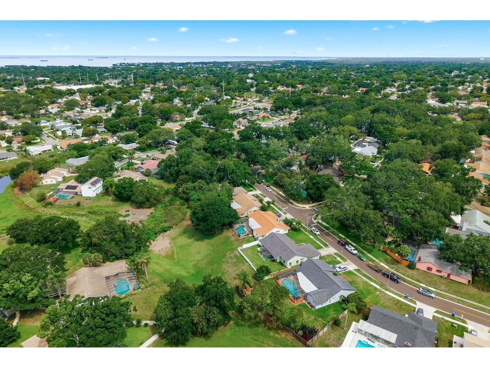 341 Arbor Drive W Palm Harbor FL 34683 TB8517549 image49